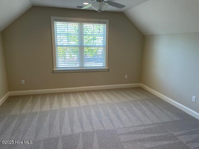 100546789 | Photo 23