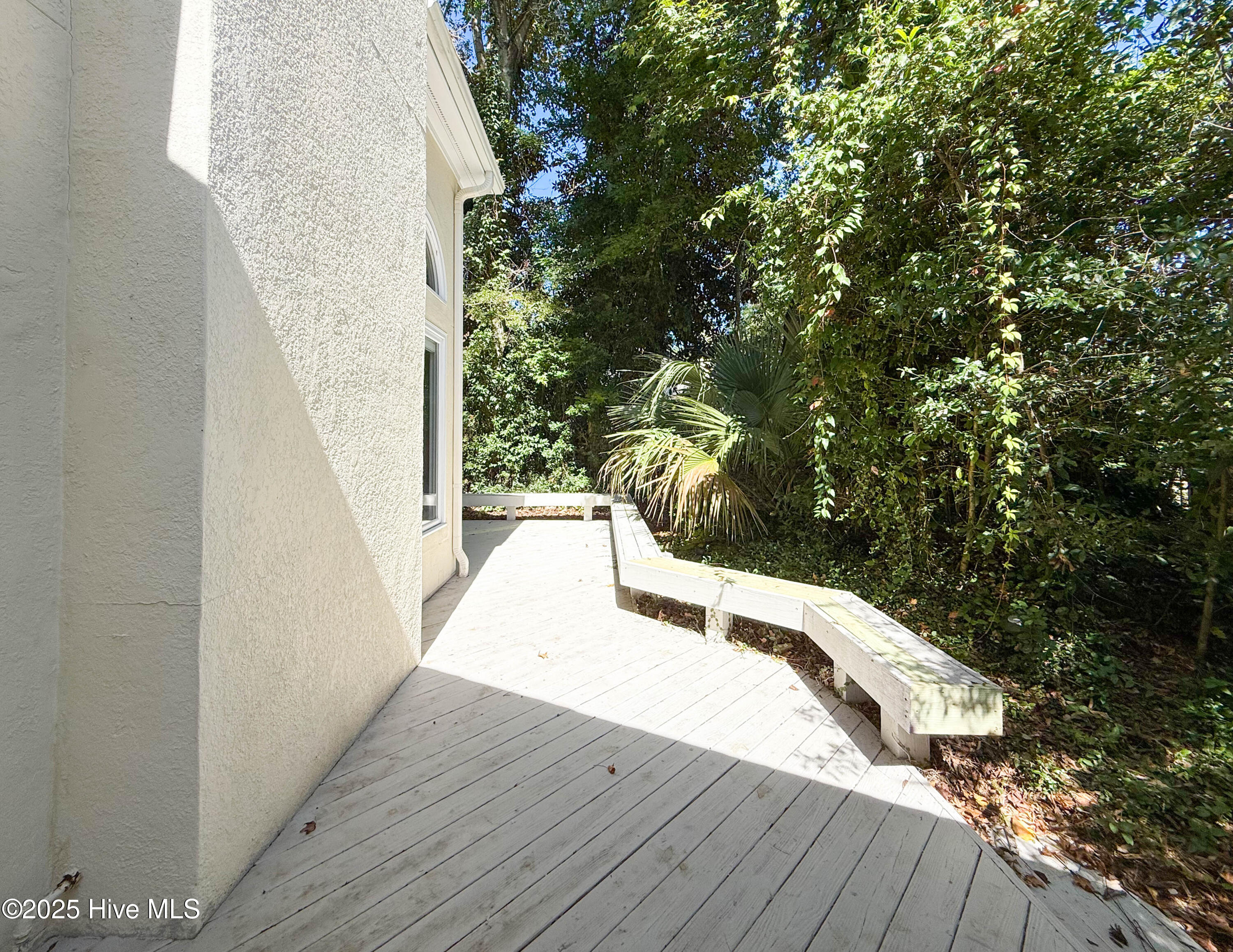 100535071 | Photo 17