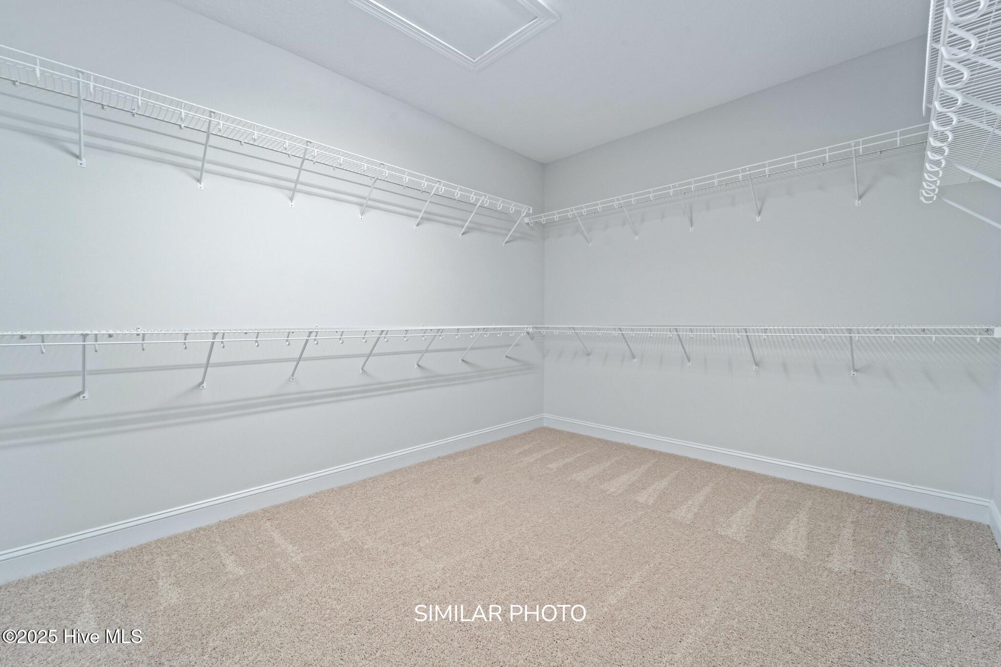 100542053 | Photo 28