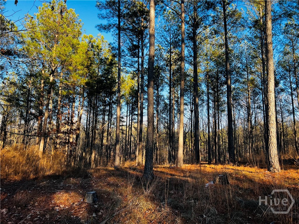 2285 Cherokee Road, Comer, GA, 30629