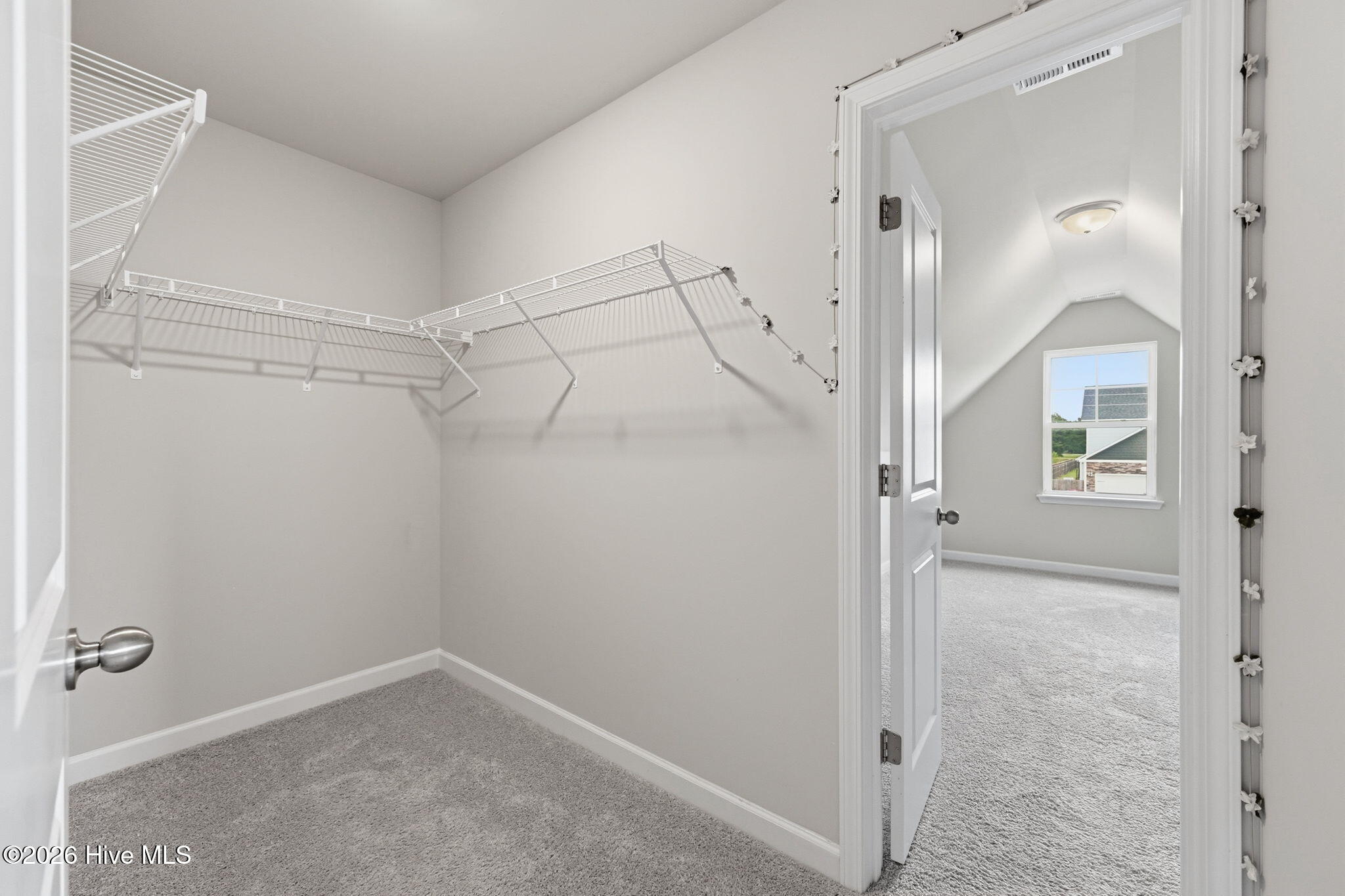 308 Sunrose Drive,Maysville