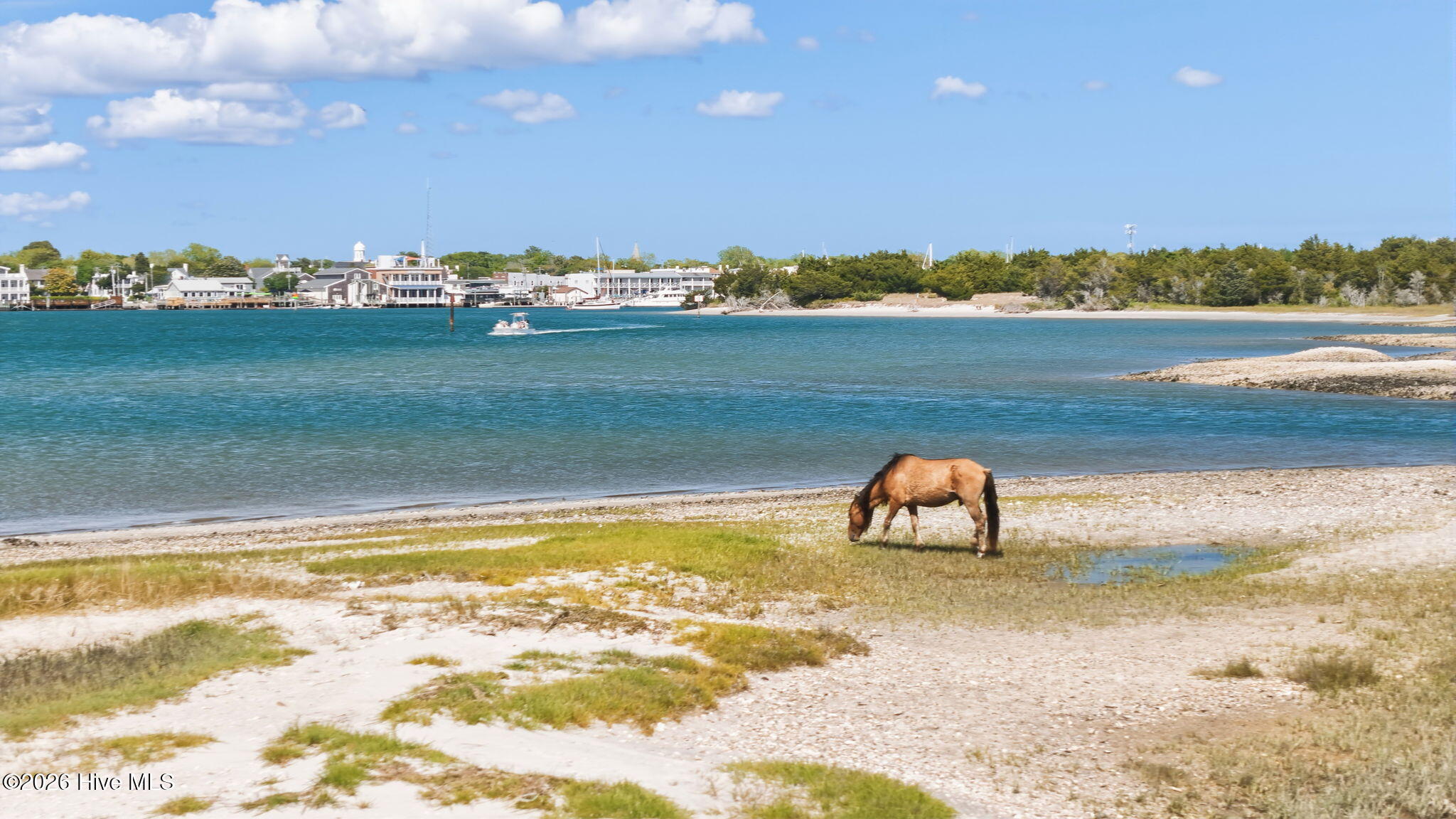313 Cedar Street,Beaufort