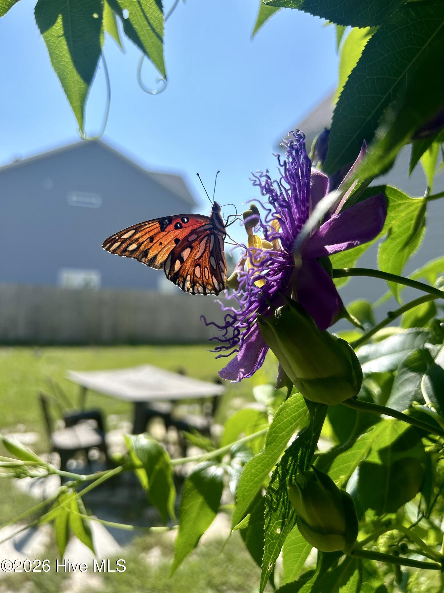 100549687 | Photo 70