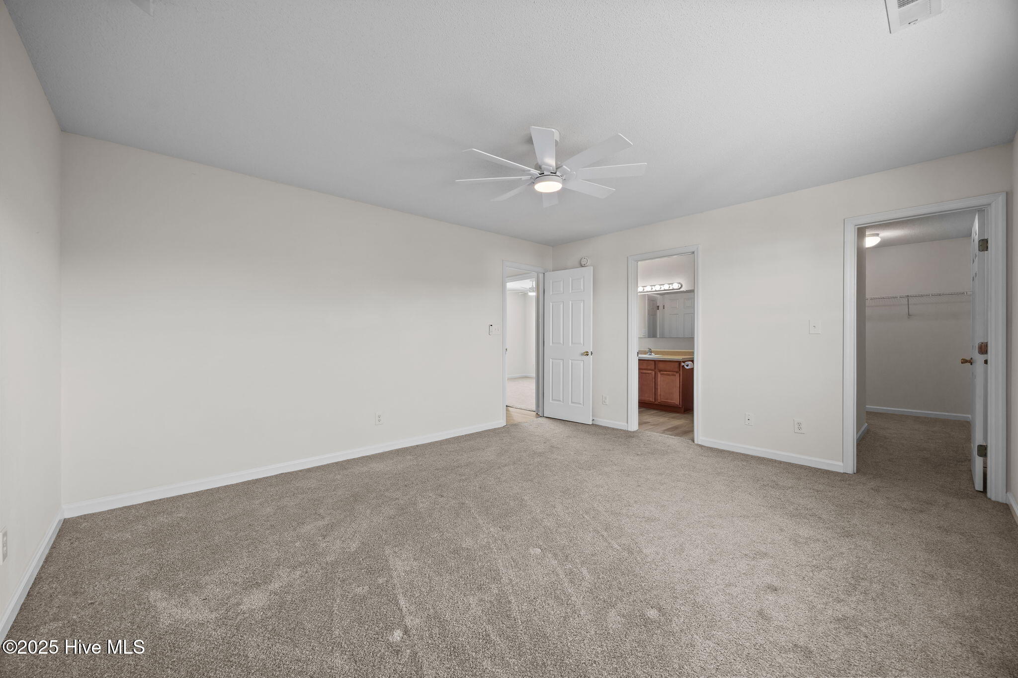 100541602 | Photo 31