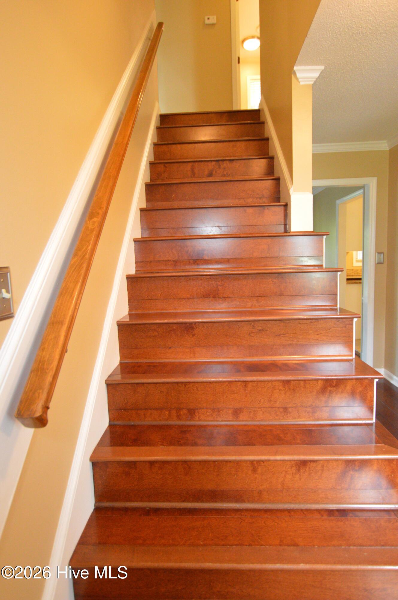 100547848 | Photo 11