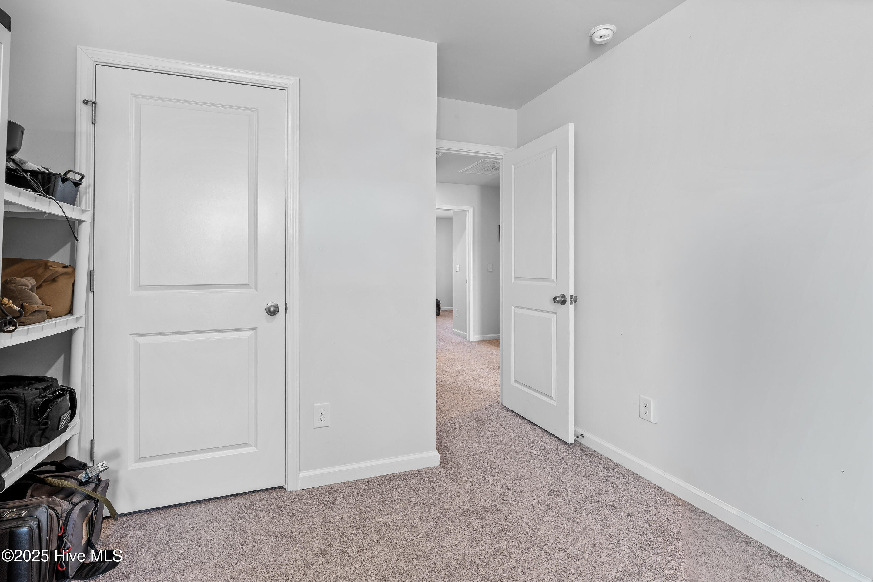 100539247 | Photo 25