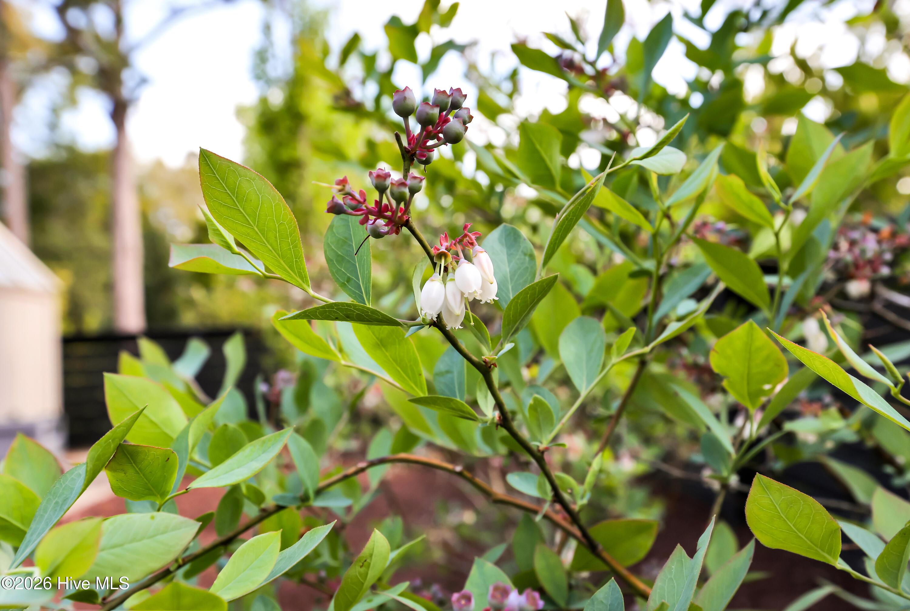 100565189 | Photo 44