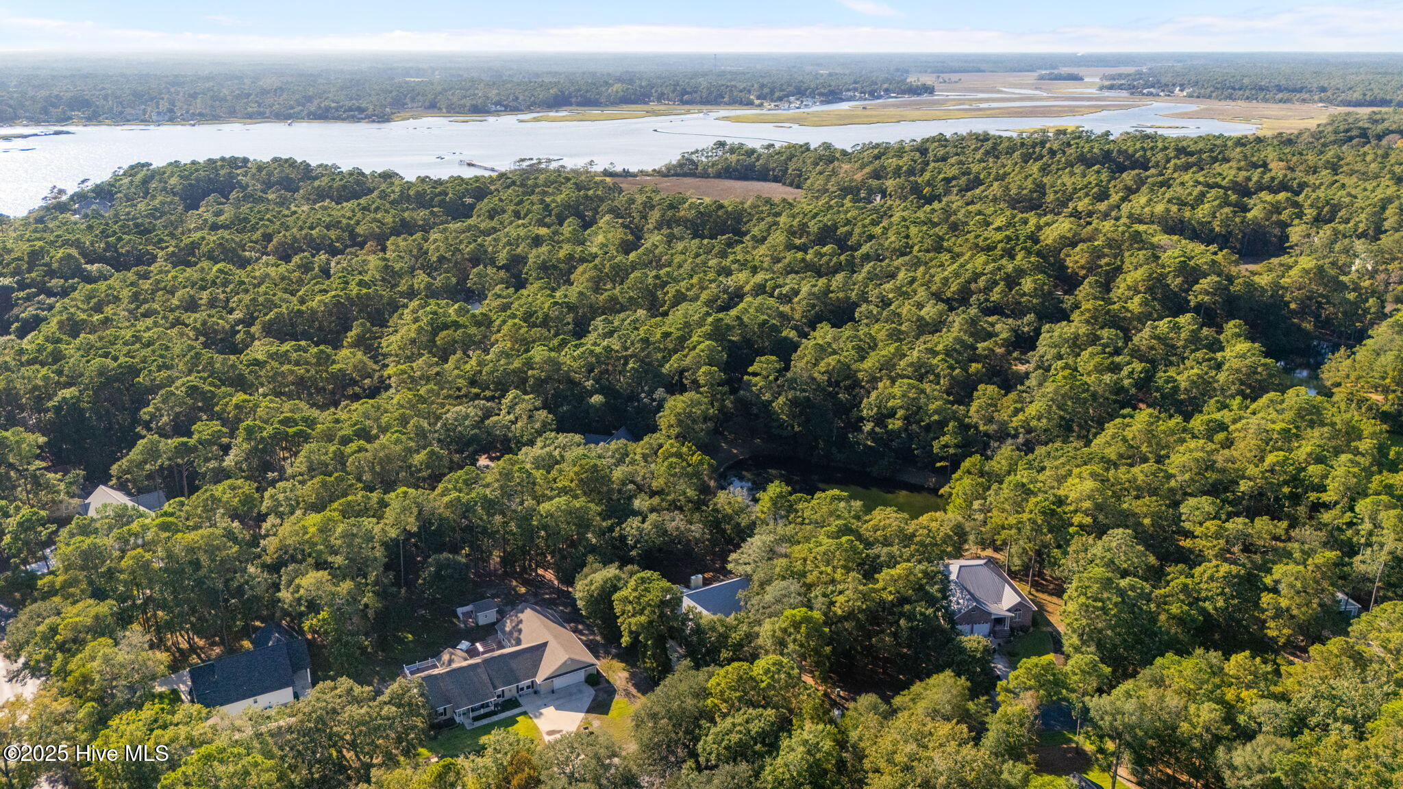 100533176 | Photo 12