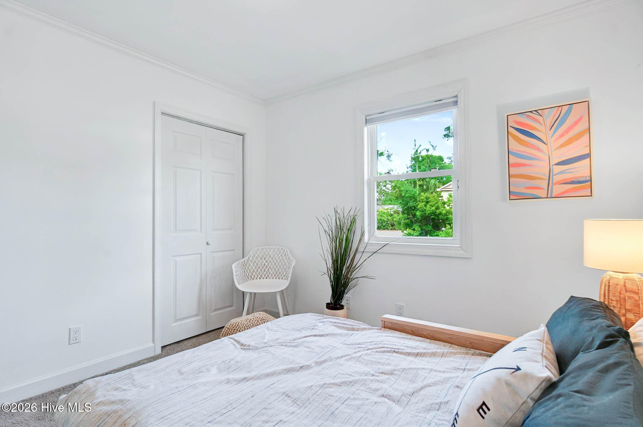 100556049 | Photo 56