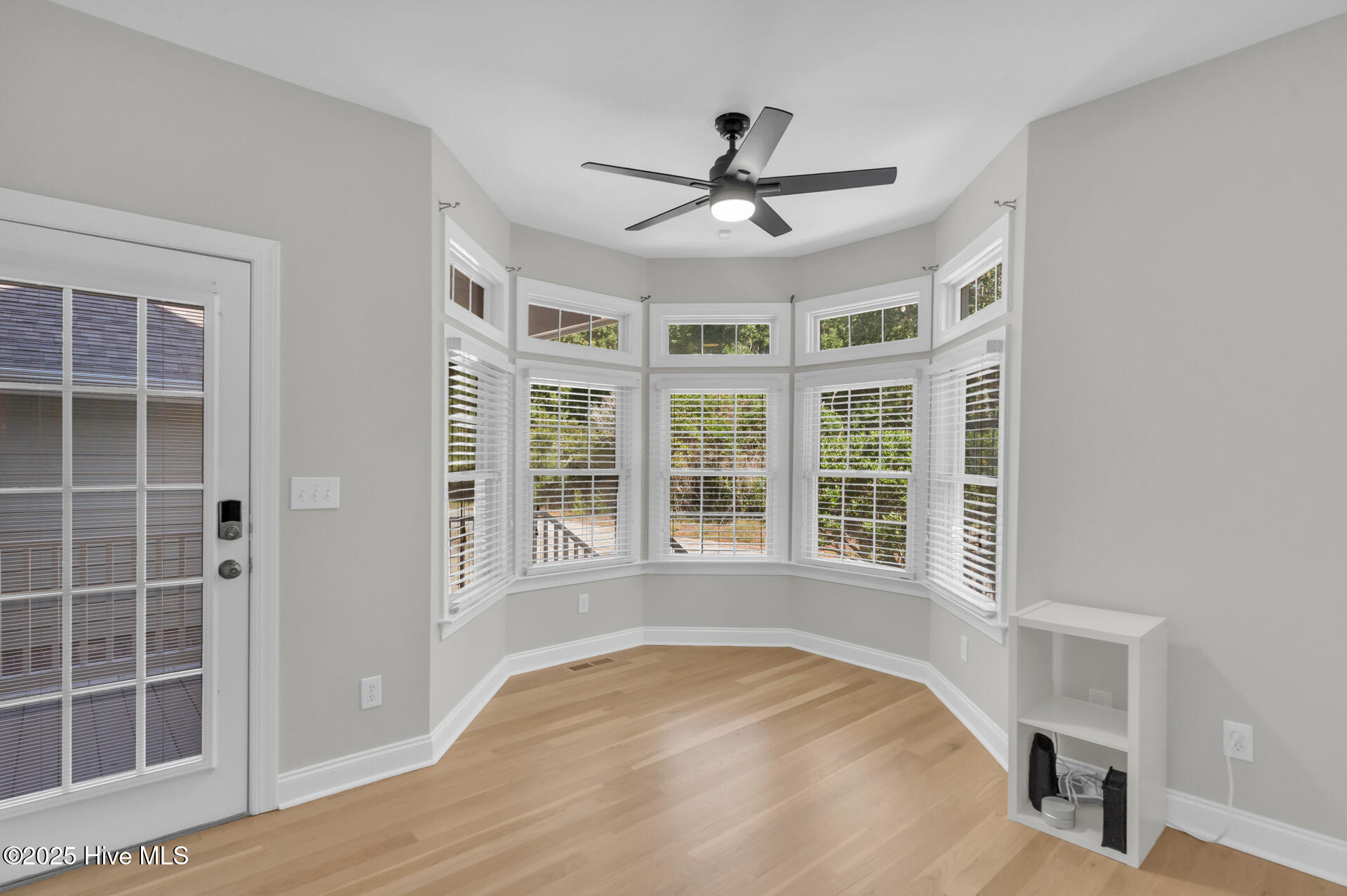 100532167 | Photo 33