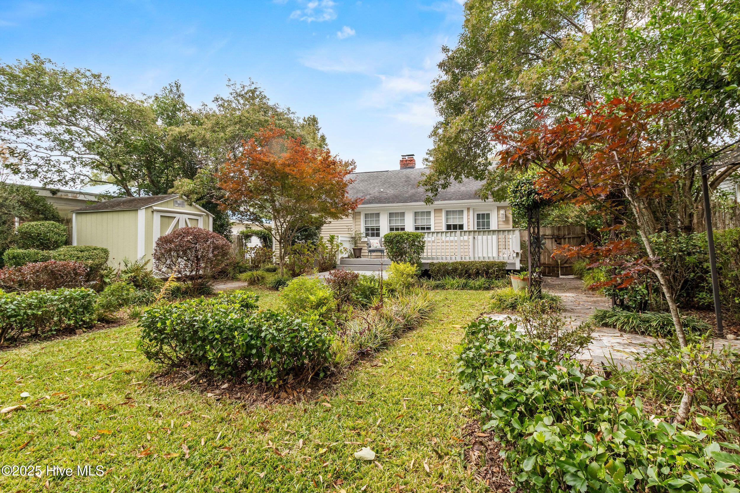 100538519 | Photo 31