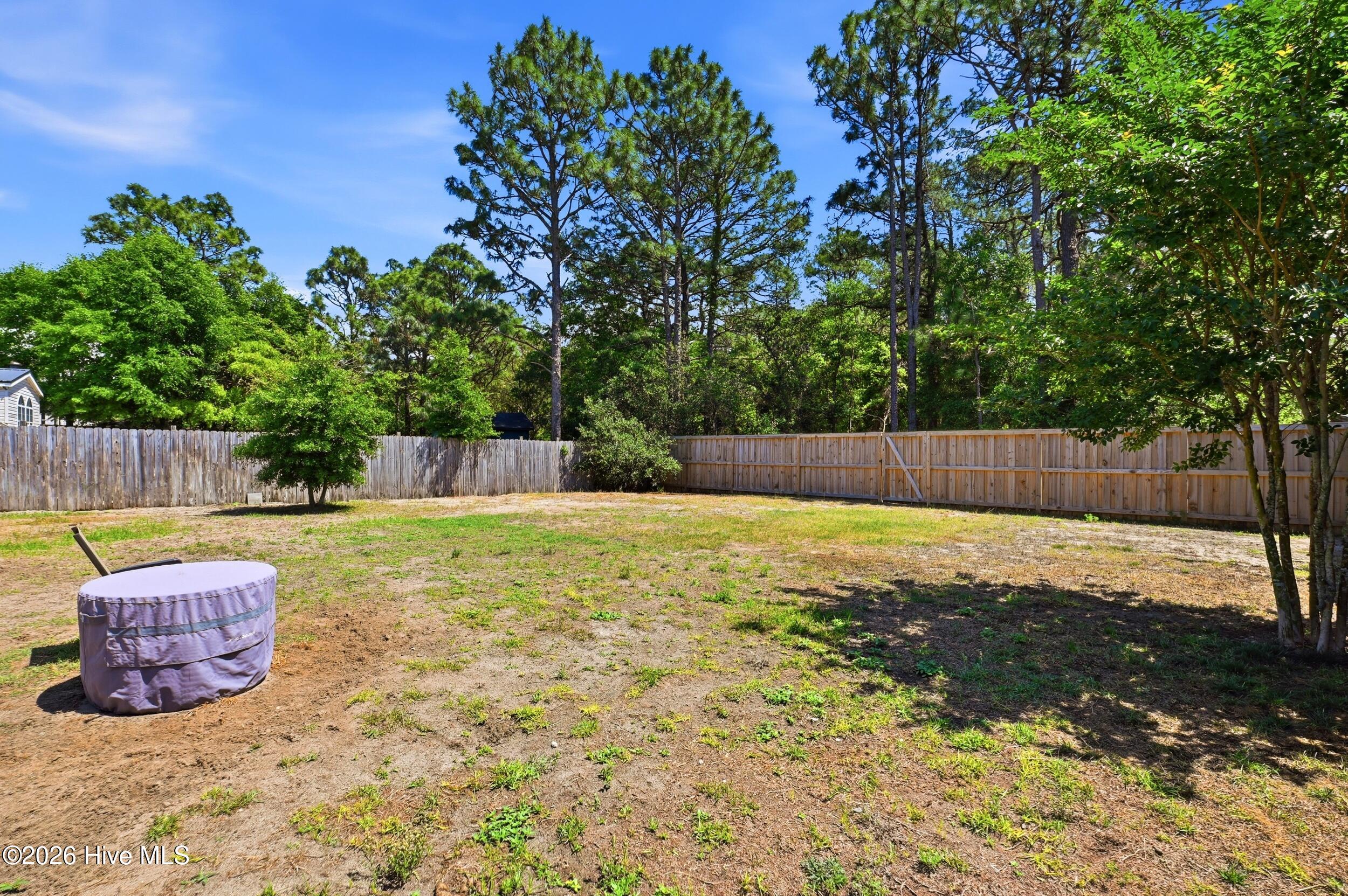 100567137 | Photo 36