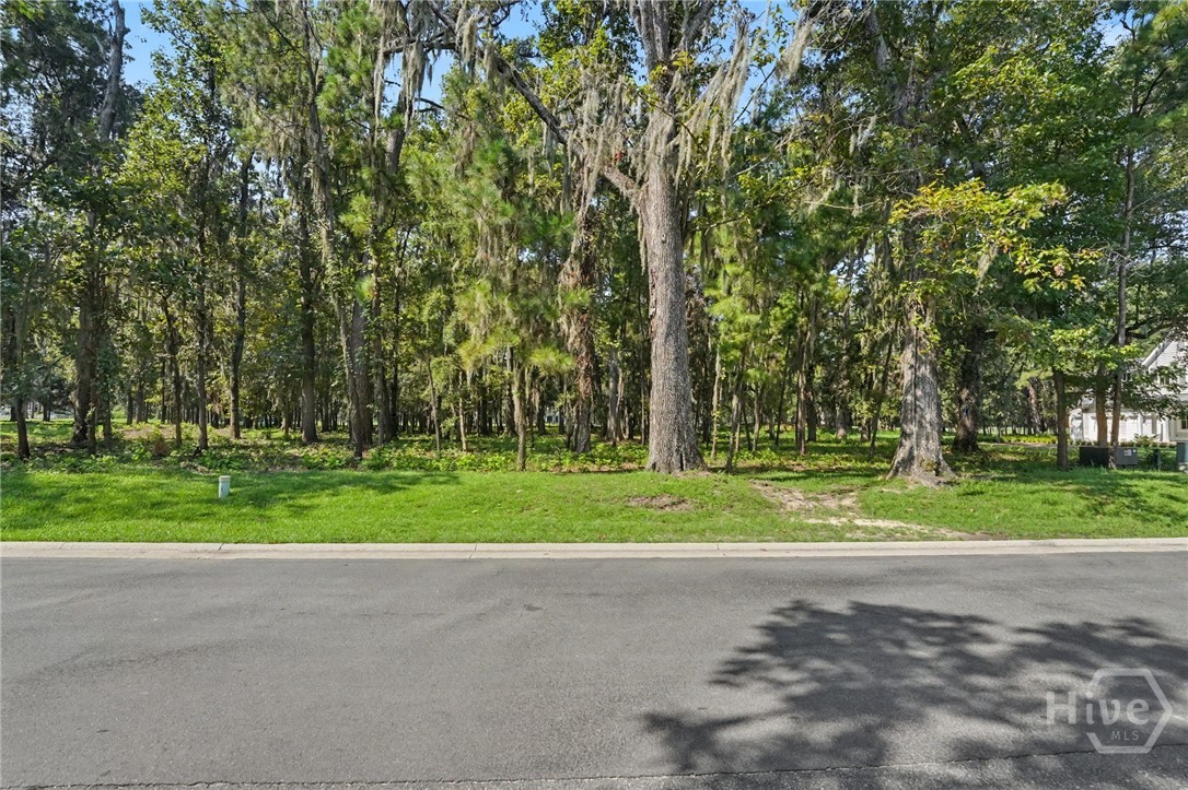 Photo 1 of Land for sale at 183 Little Lulu Ln, Richmond Hill, GA 31324 | MLS# SA363143 | Listing updated on 2026-09-18