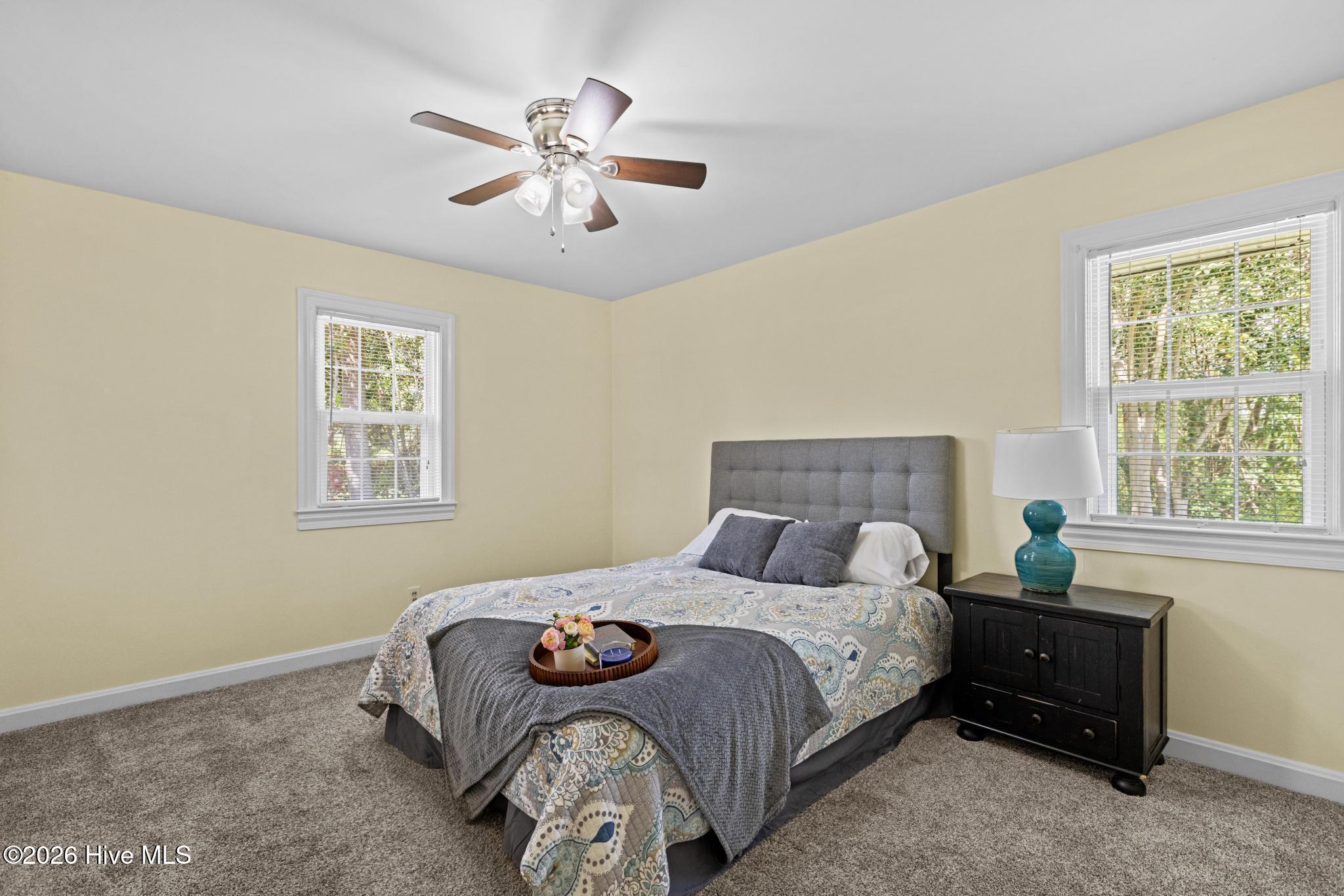 100562948 | Photo 20