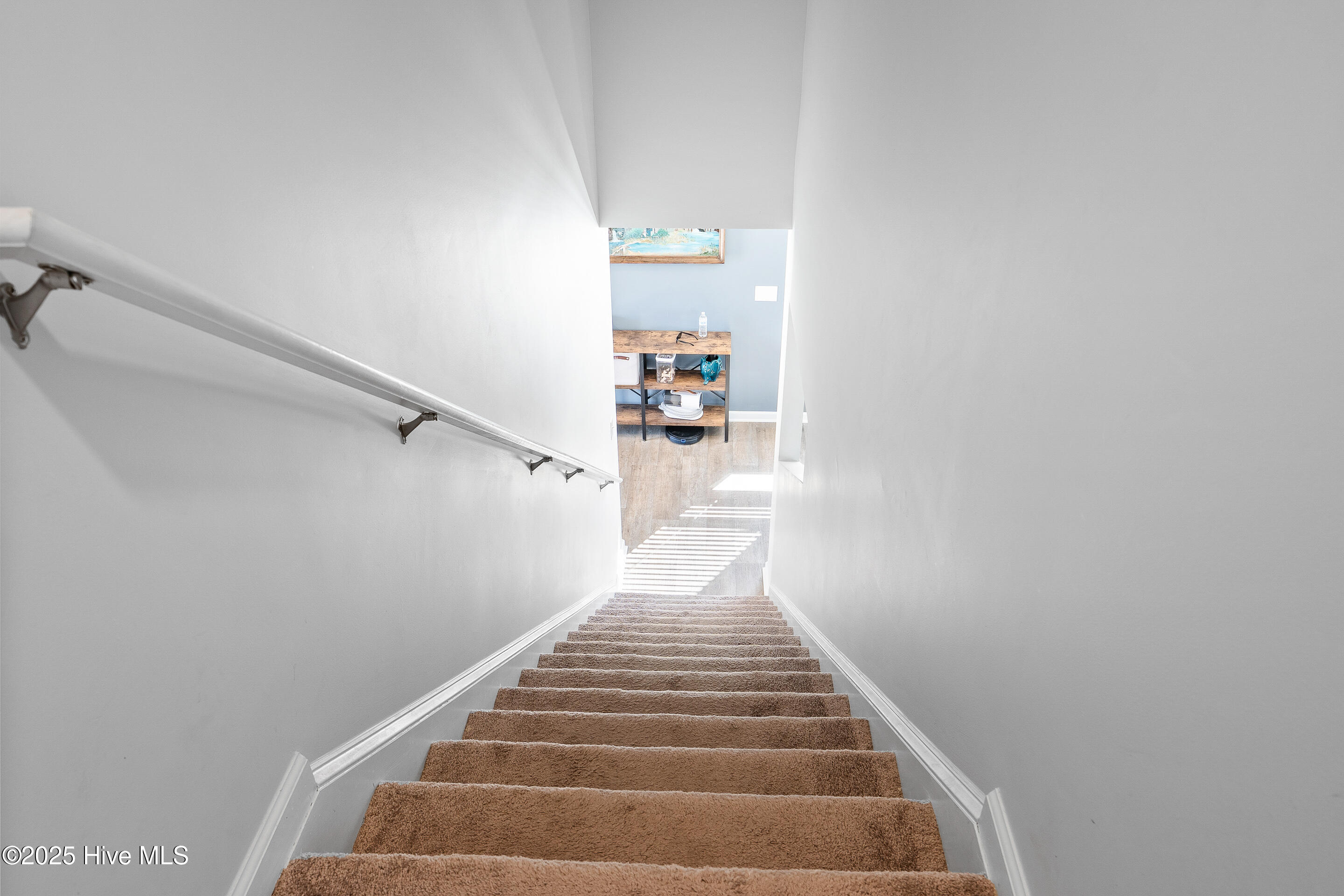 100539247 | Photo 34