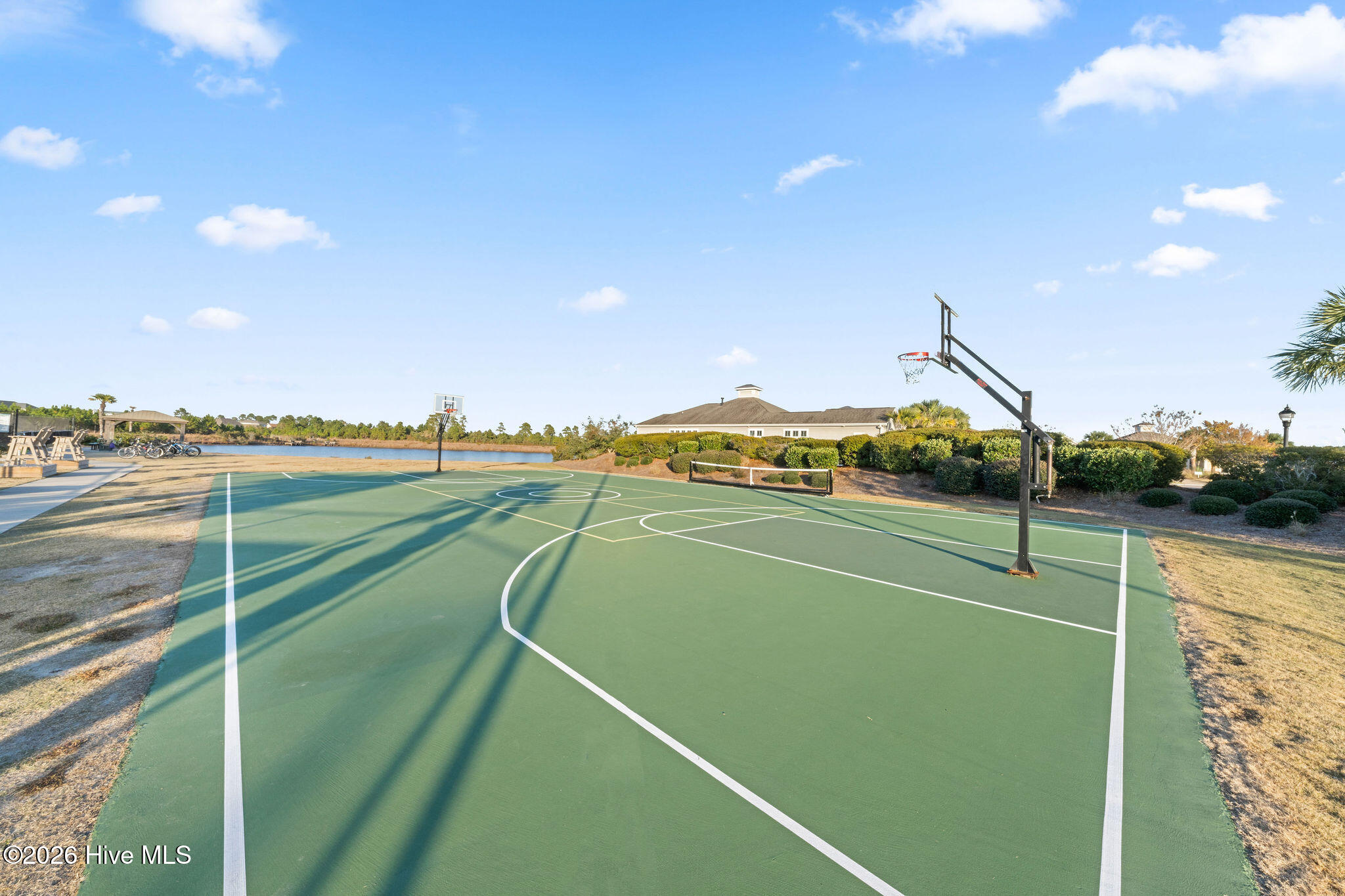 100565690 | Photo 98