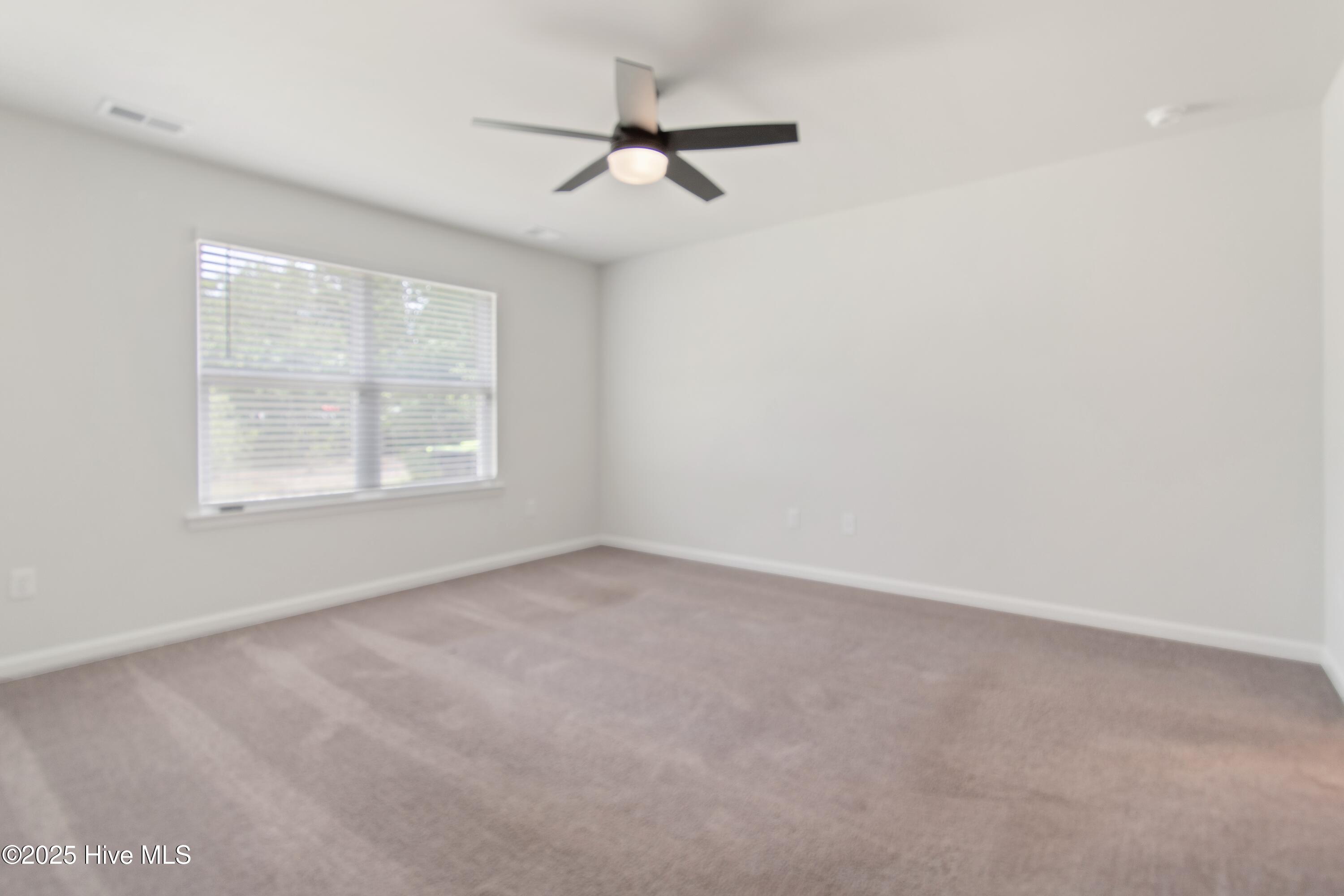 100519595 | Photo 13