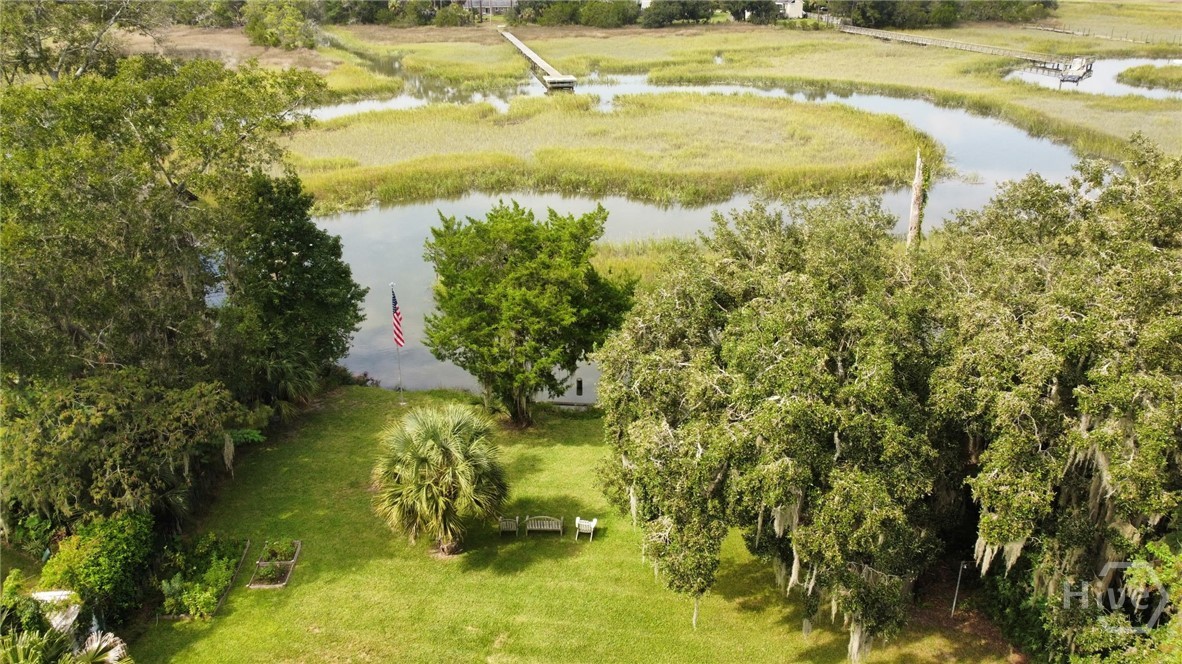 Marsh overhead