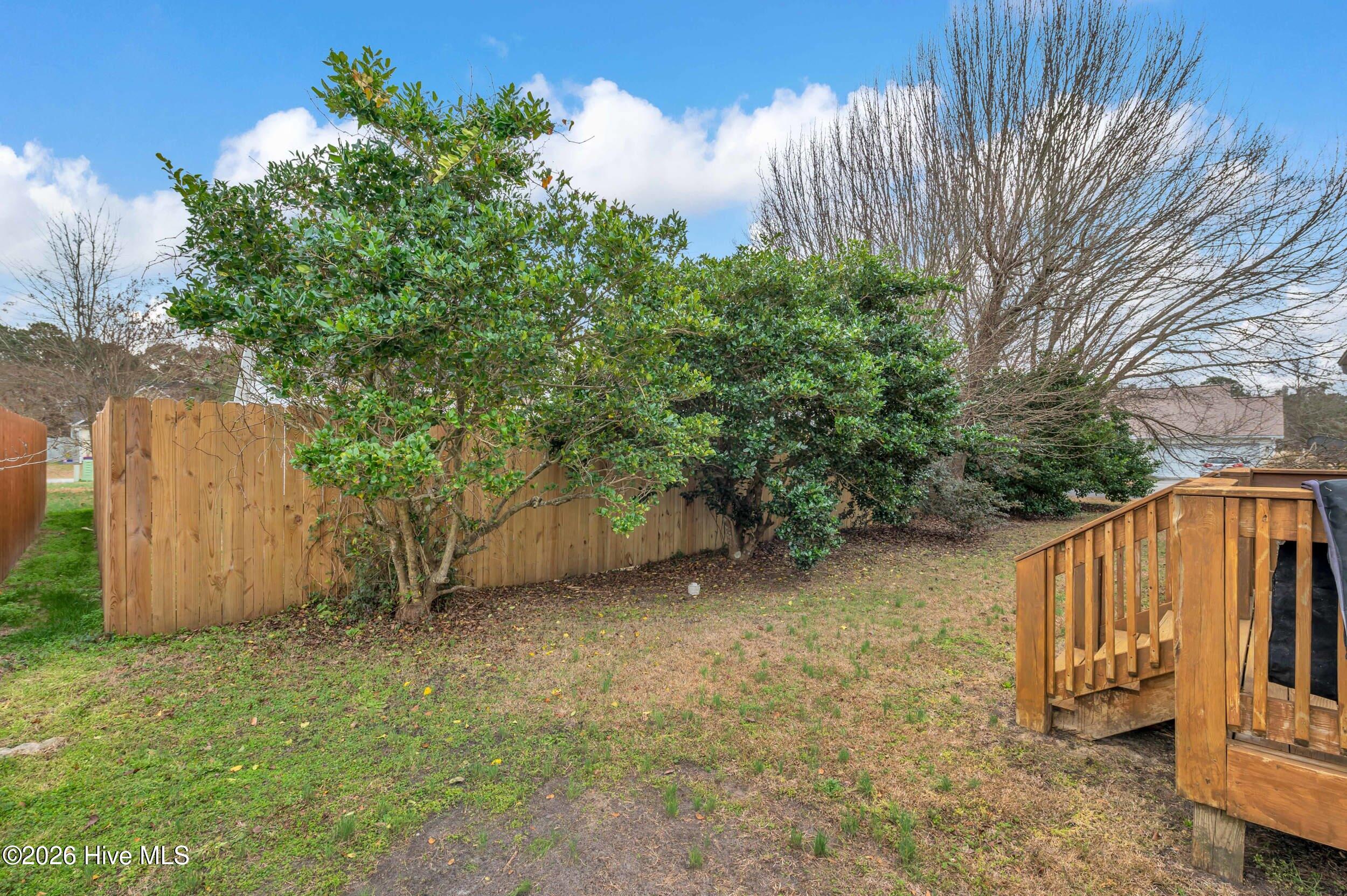 100554292 | Photo 32