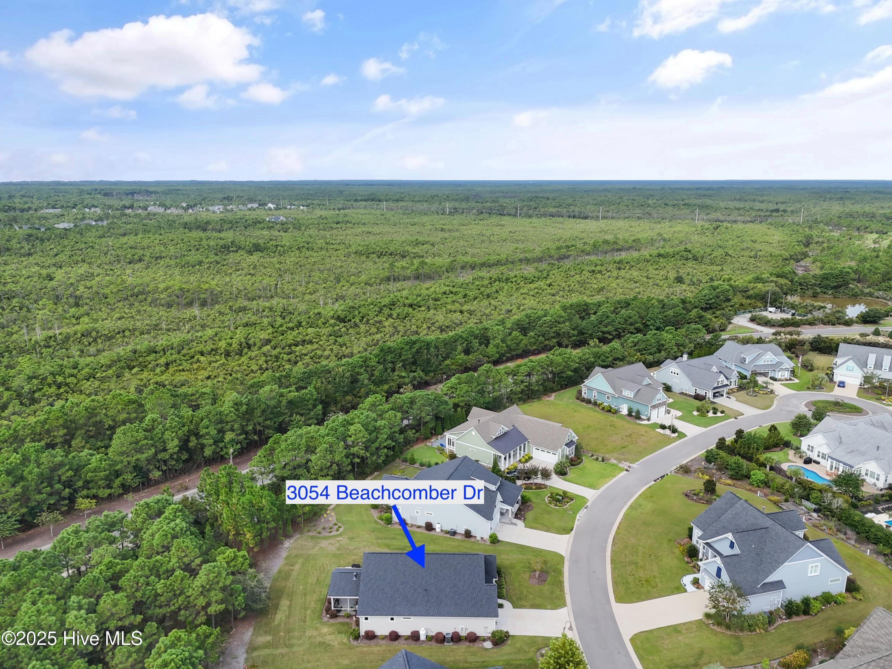 100527961 | Photo 35