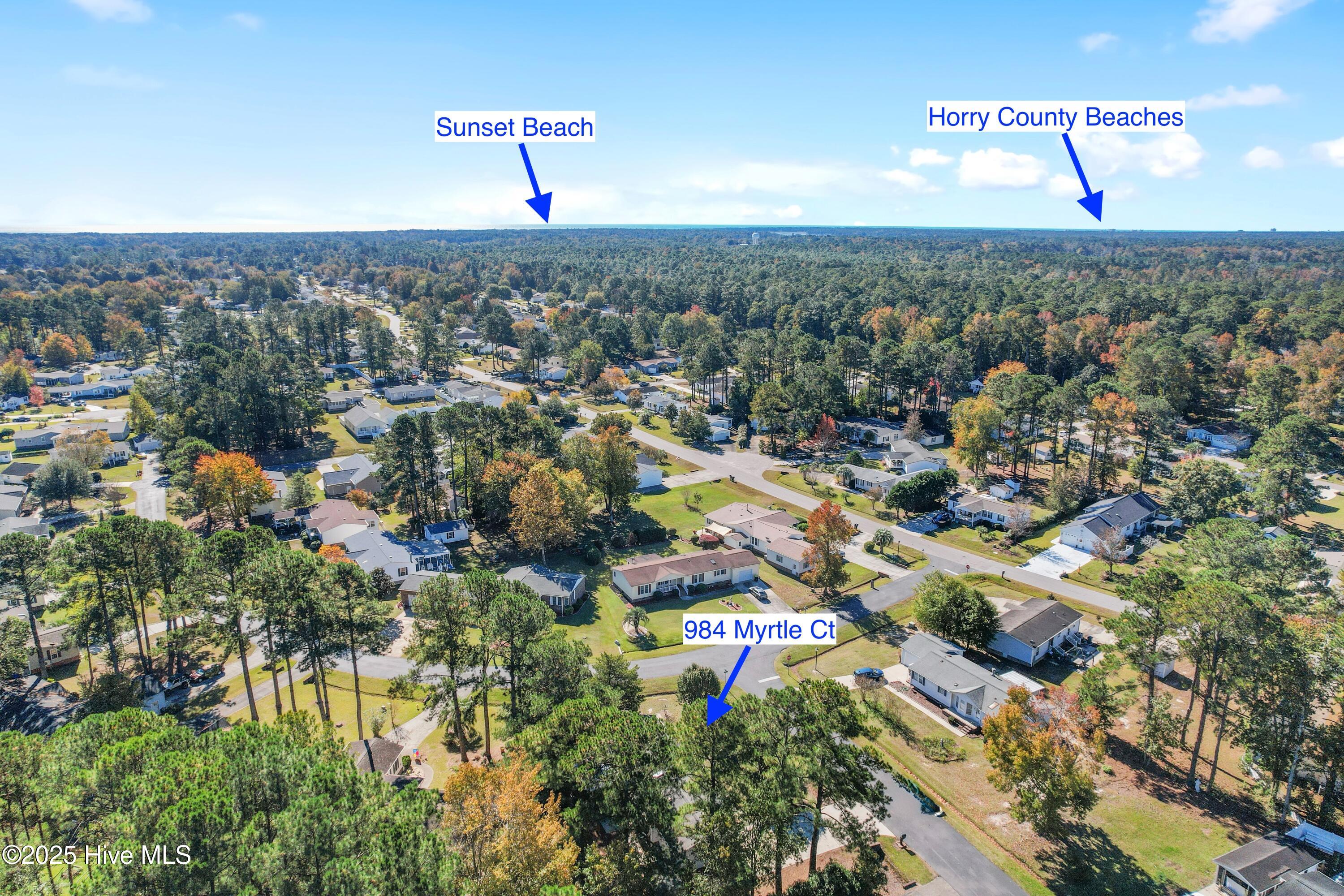 100539730 | Photo 27