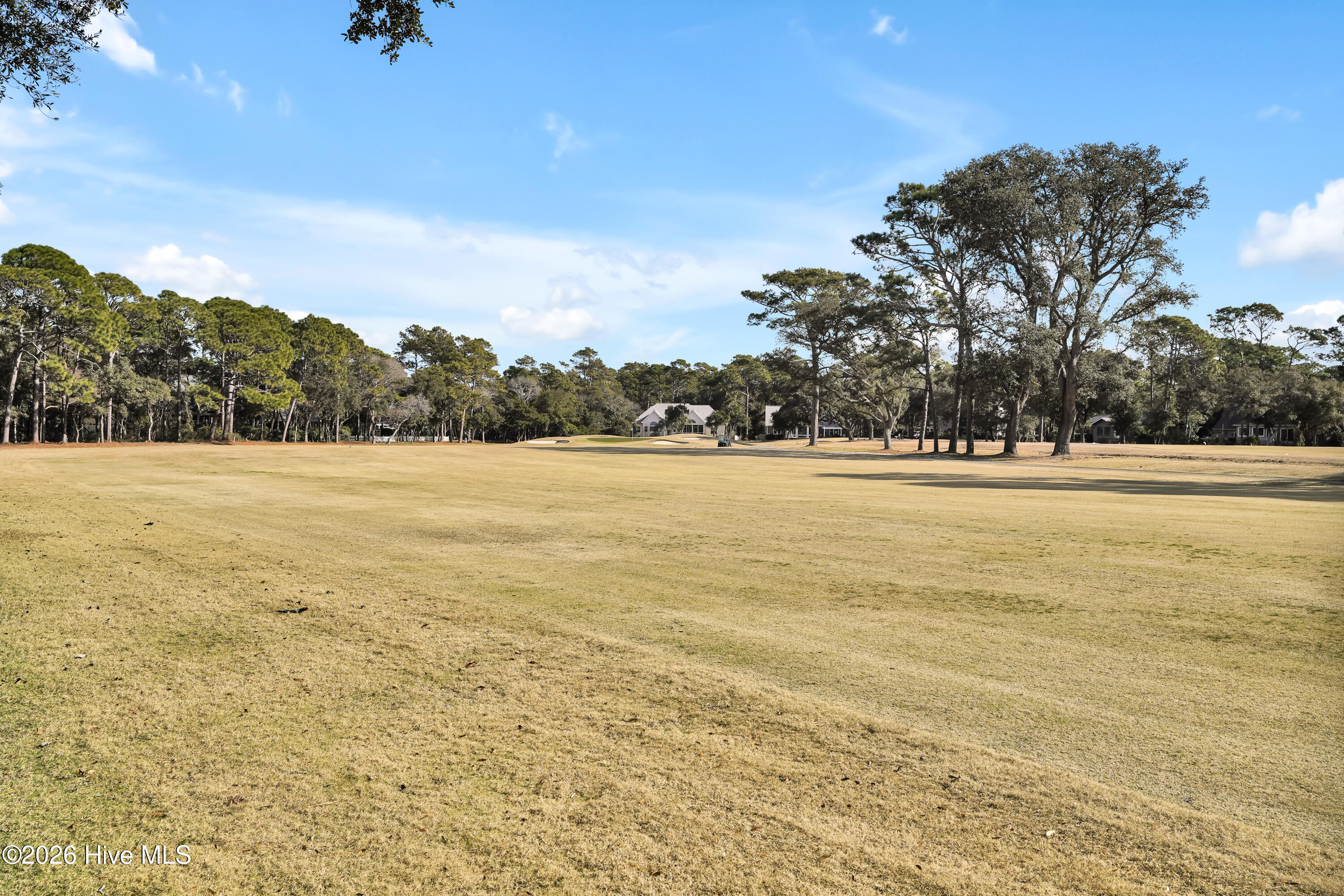 100549452 | Photo 43