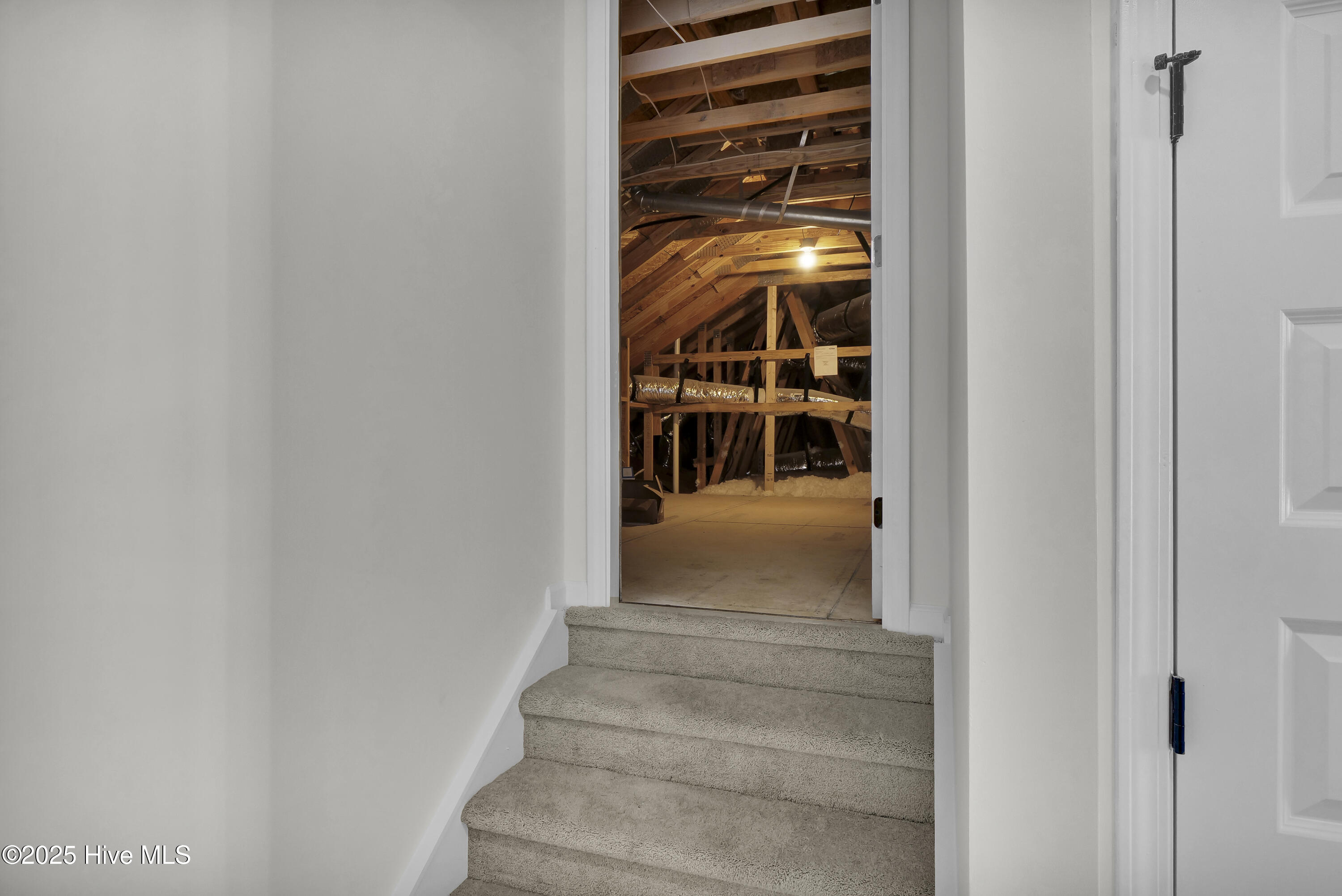 100518809 | Photo 24