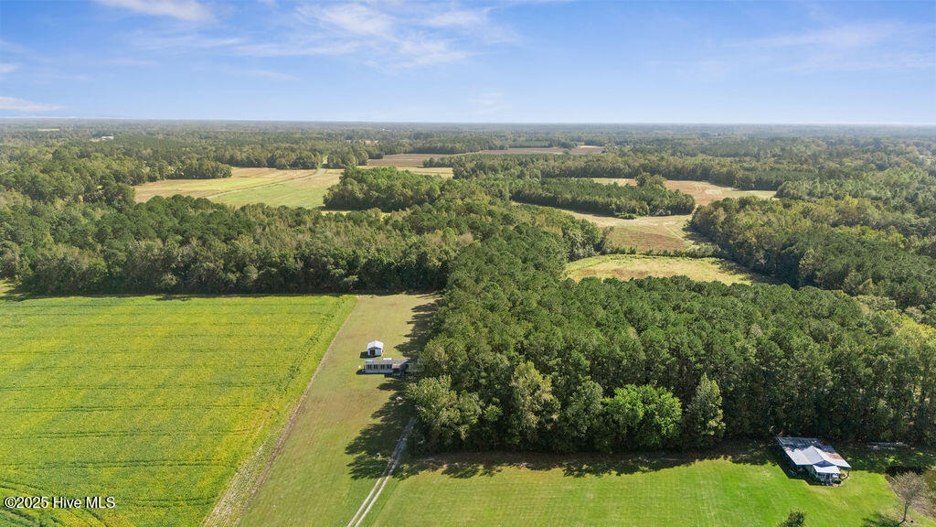 100535278 | Photo 11