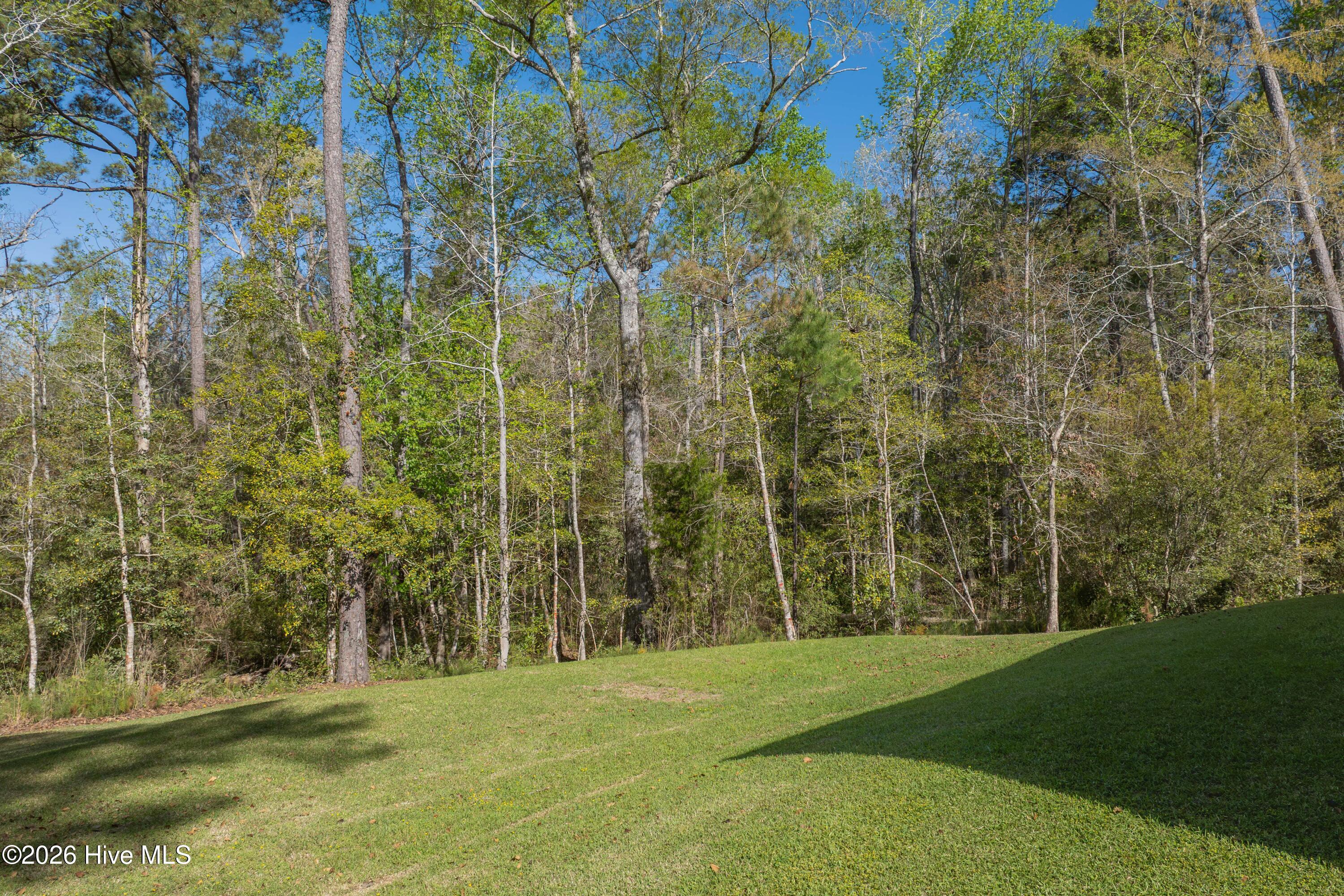 100565113 | Photo 12