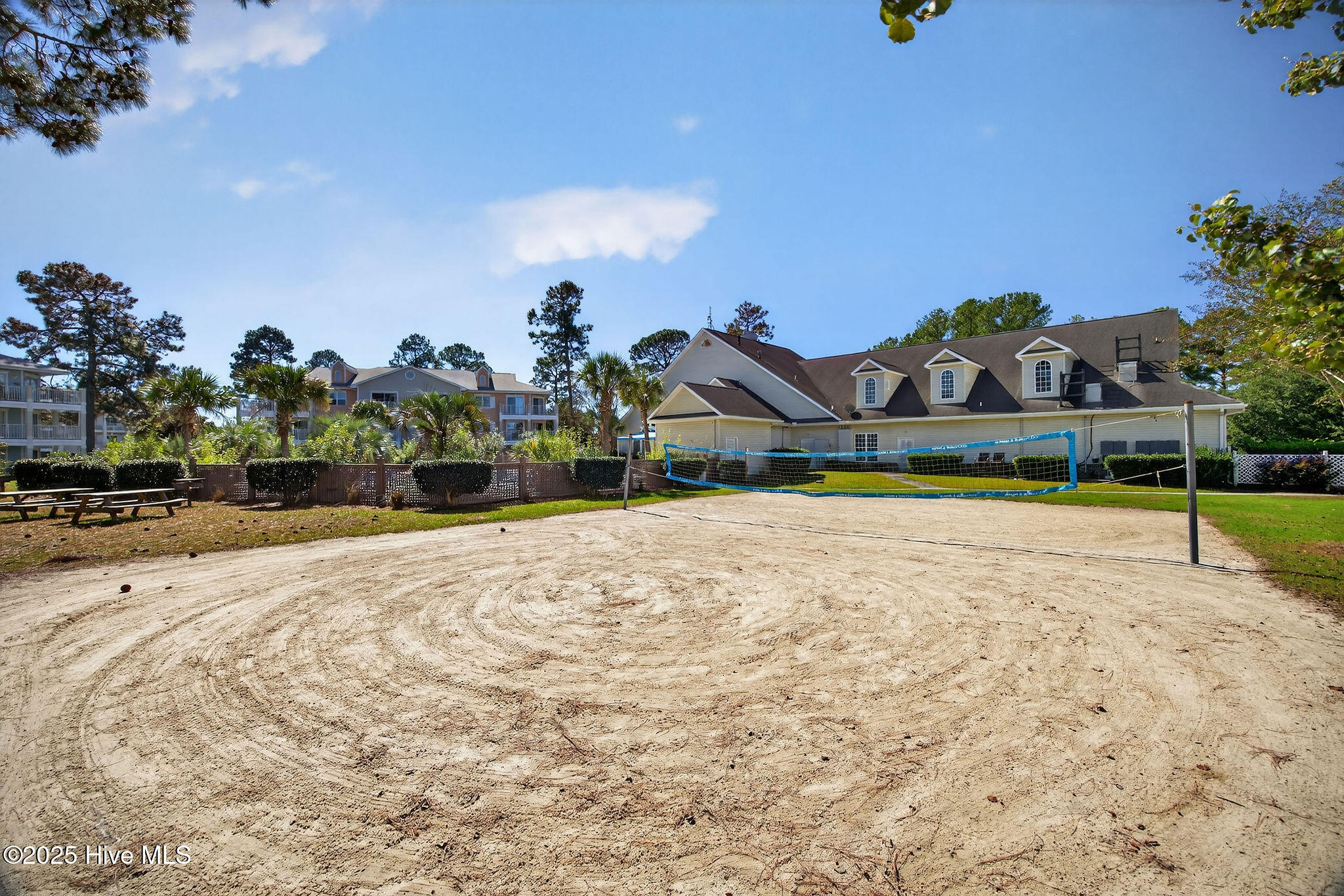 100537047 | Photo 47