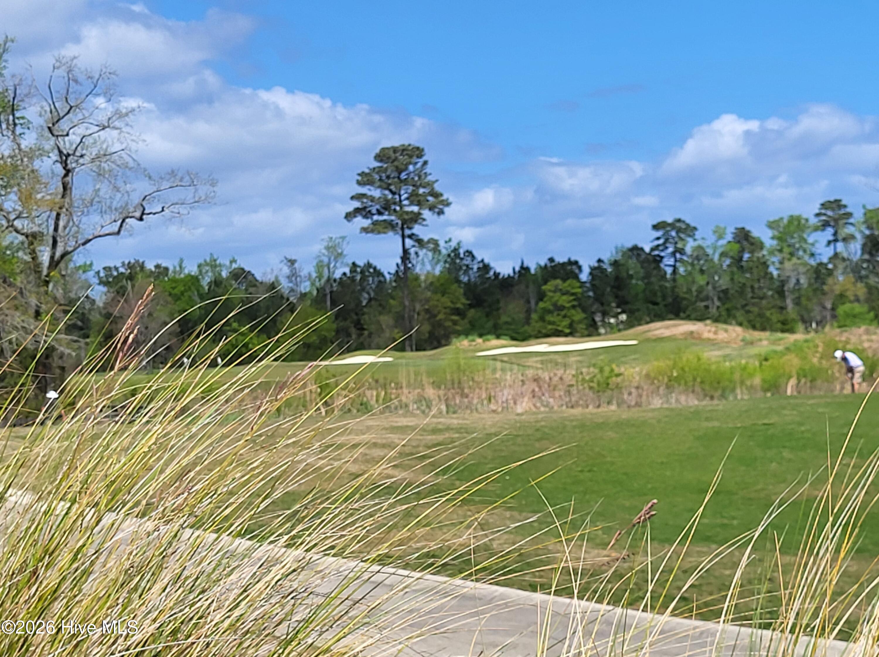 100564623 | Photo 39