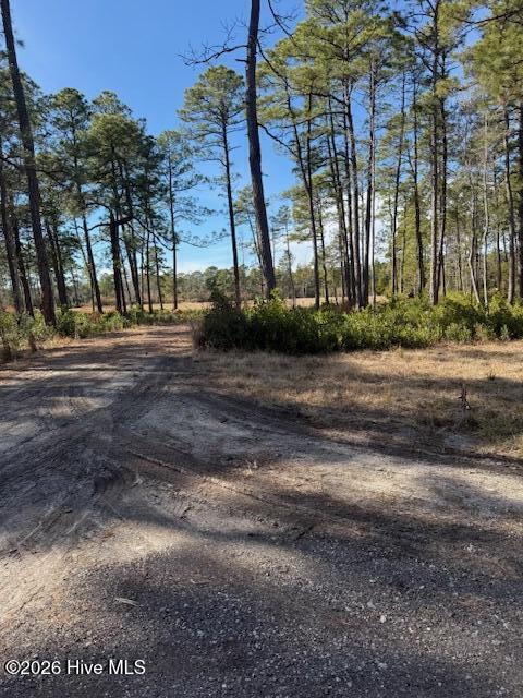 100554657 | Photo 12