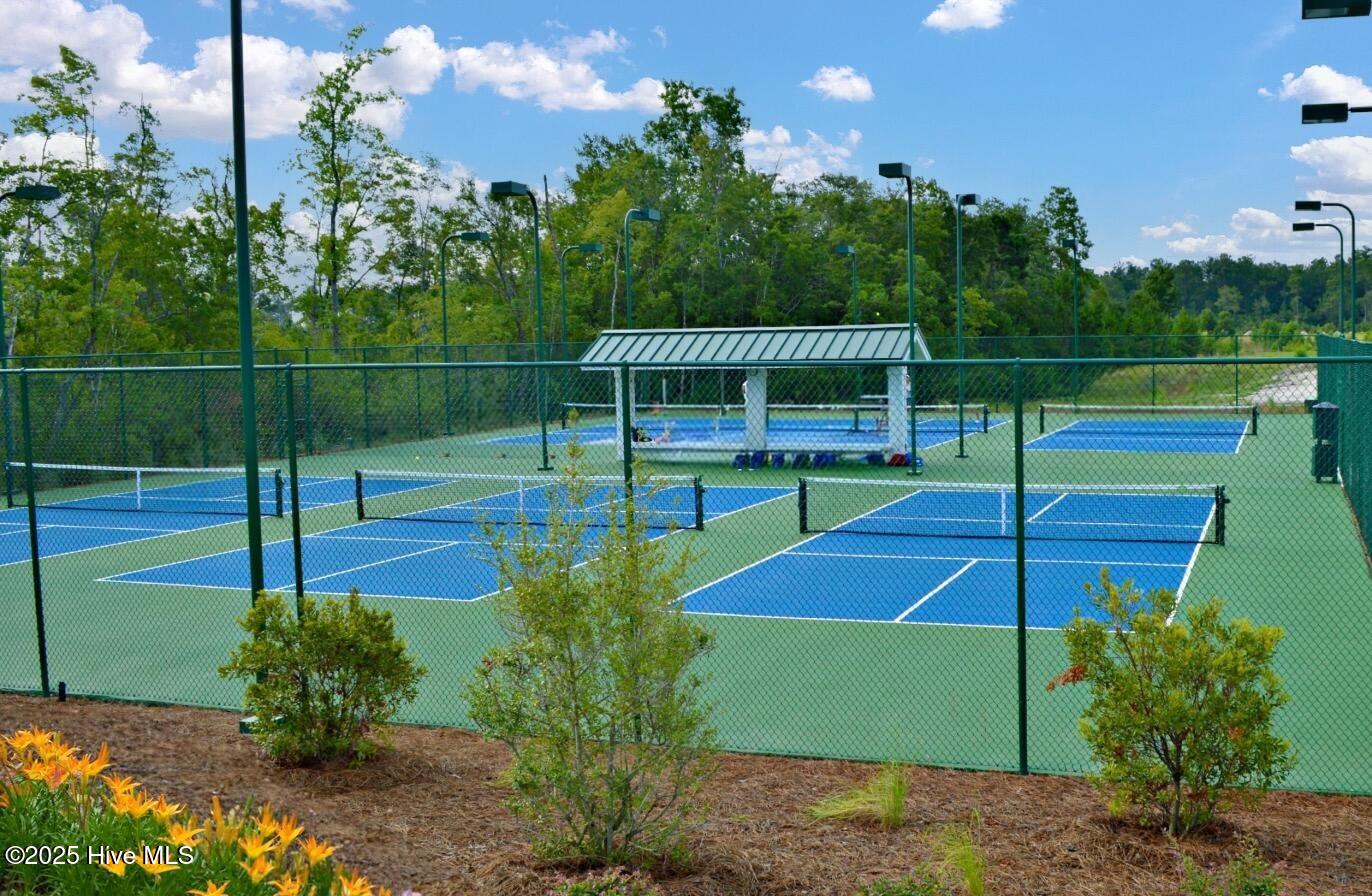 100538453 | Photo 46