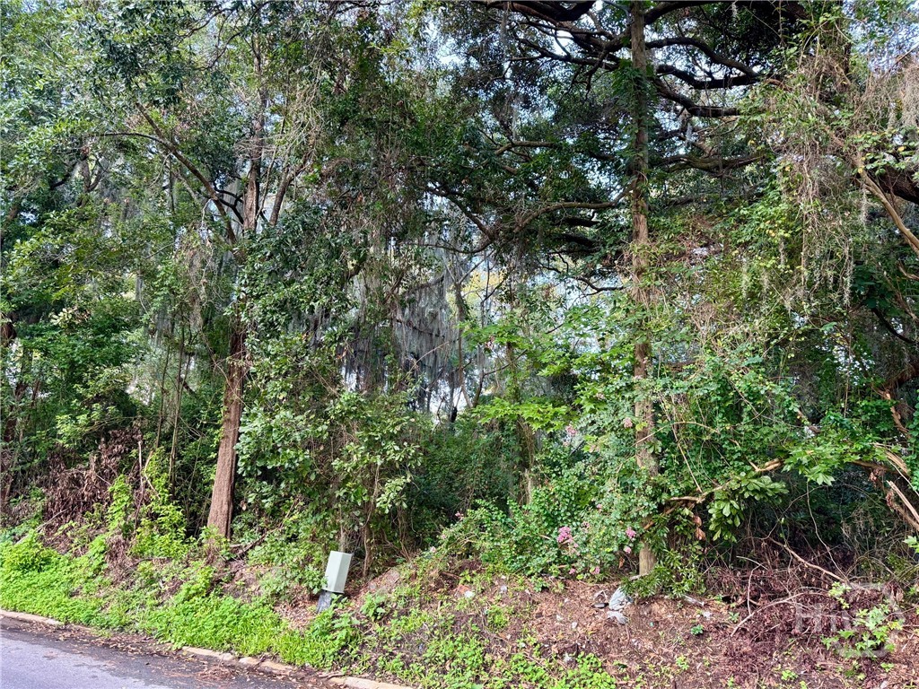 Homes for sale in Savannah, GA | 0 Albert St, Savannah, GA 31406 | MLS# SA337026