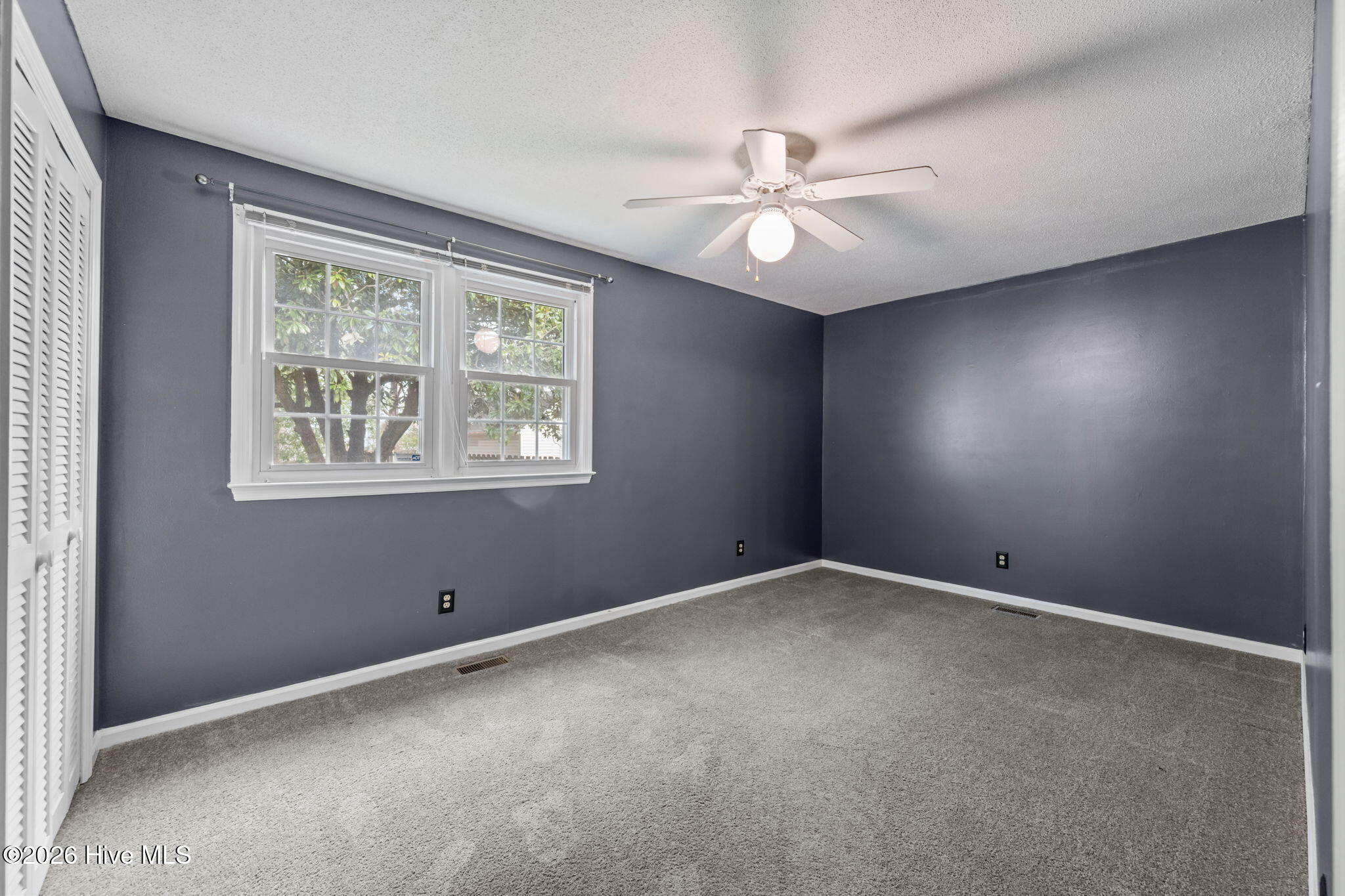 100554192 | Photo 43