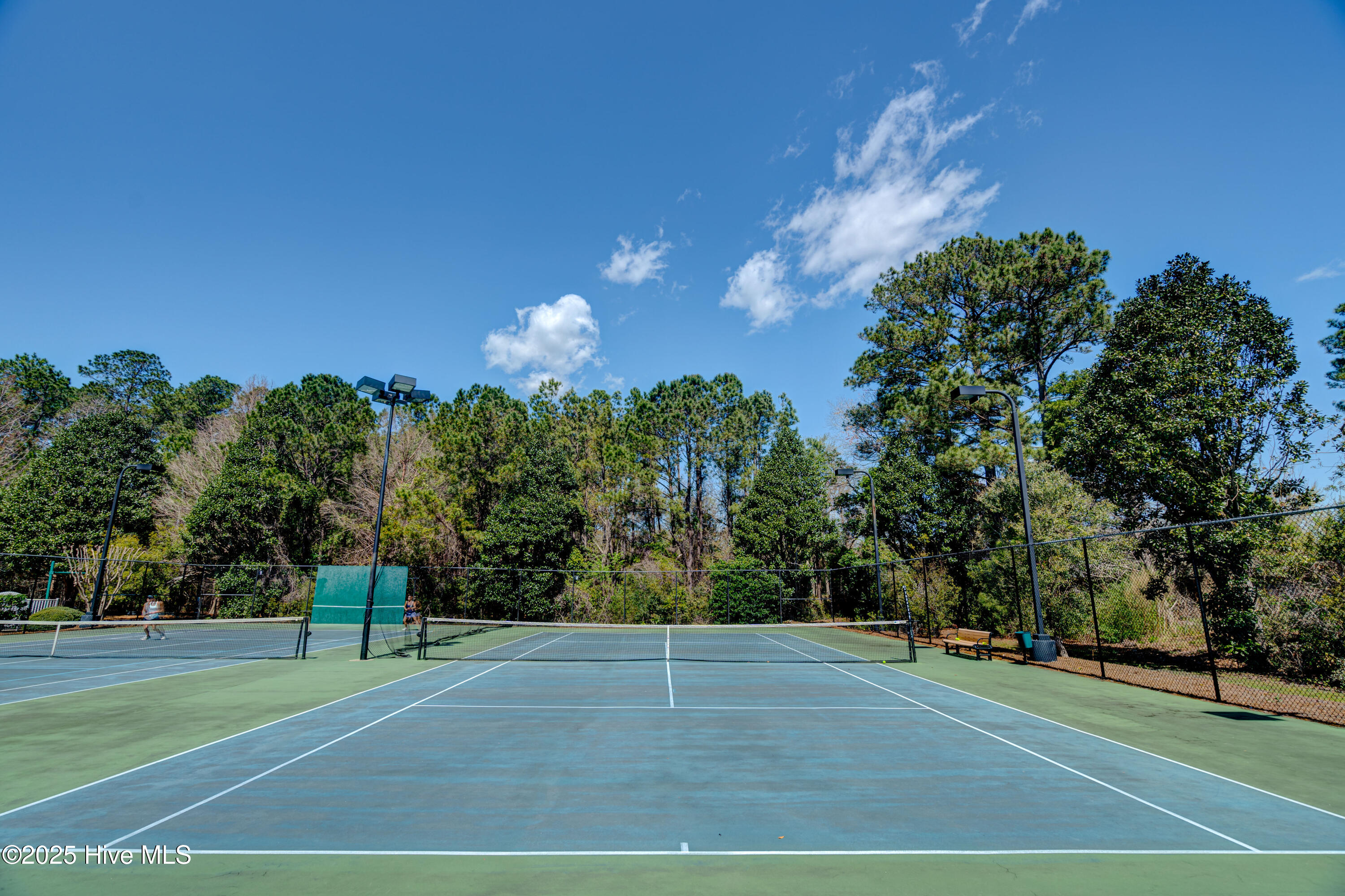 100535158 | Photo 79