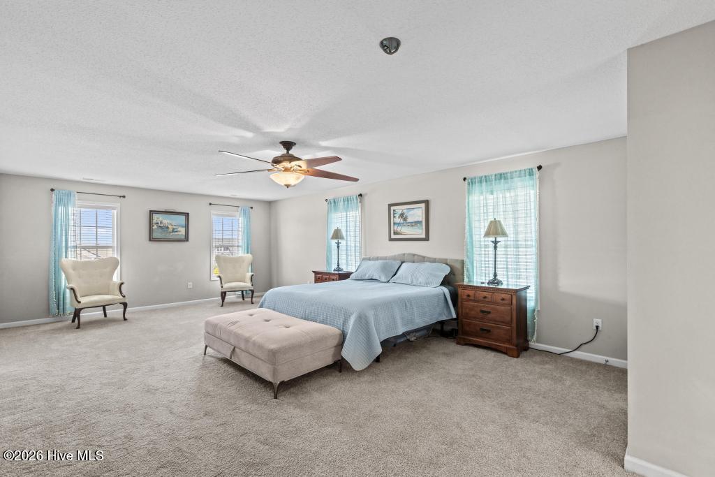 100564951 | Photo 33