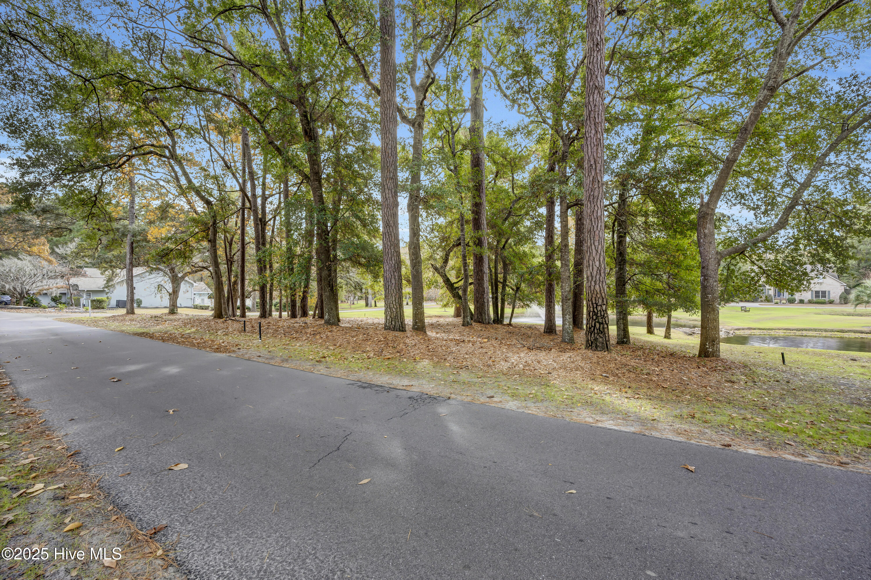 100542577 | Photo 22