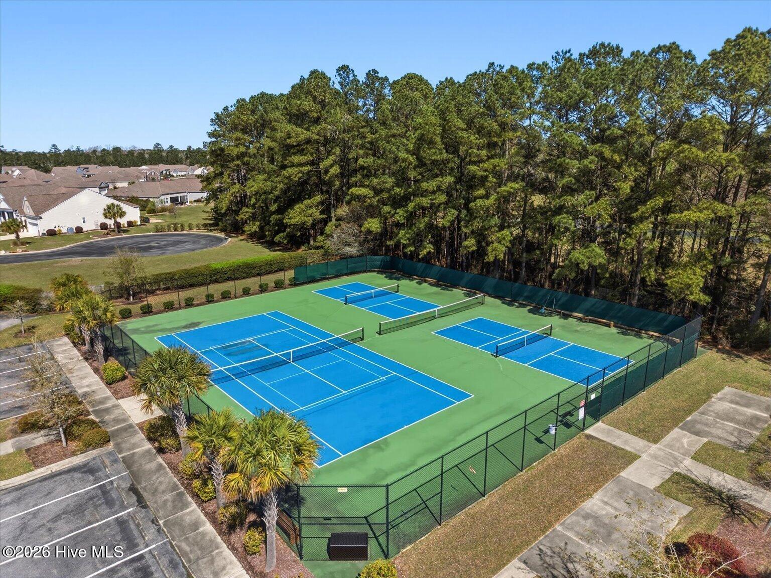 100561084 | Photo 34