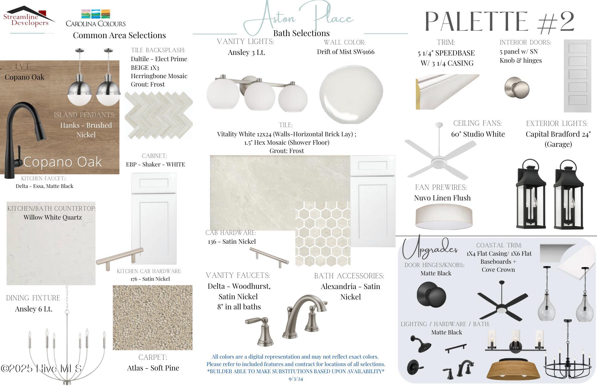 AST- Palette #2 9-3-24