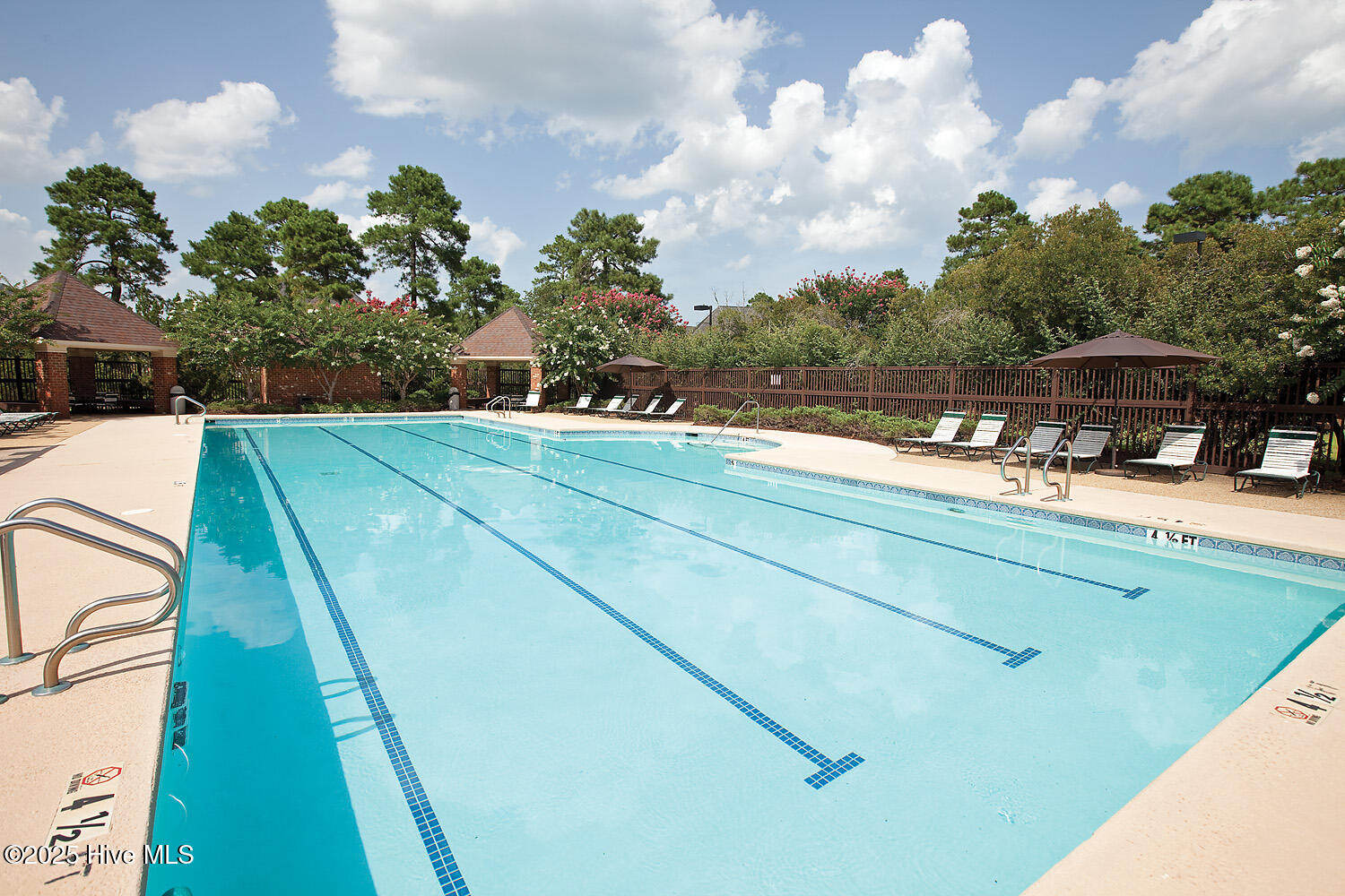 100545737 | Photo 89