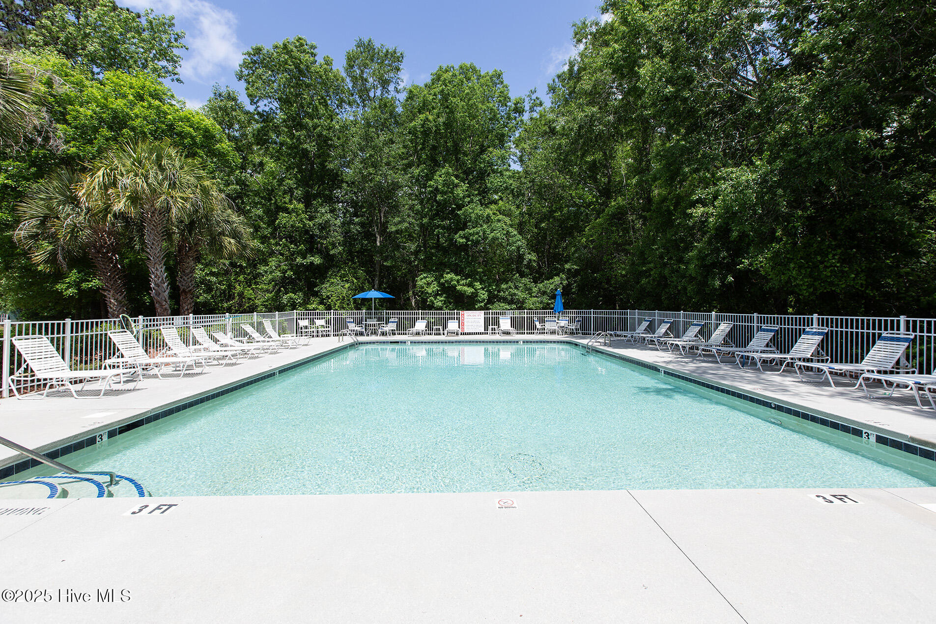 100546860 | Photo 49