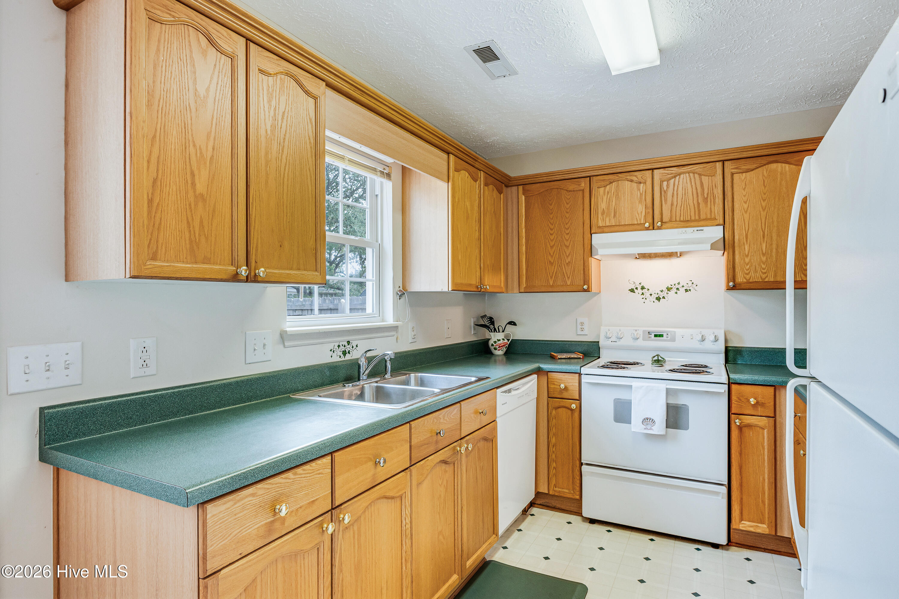 100558726 | Photo 16