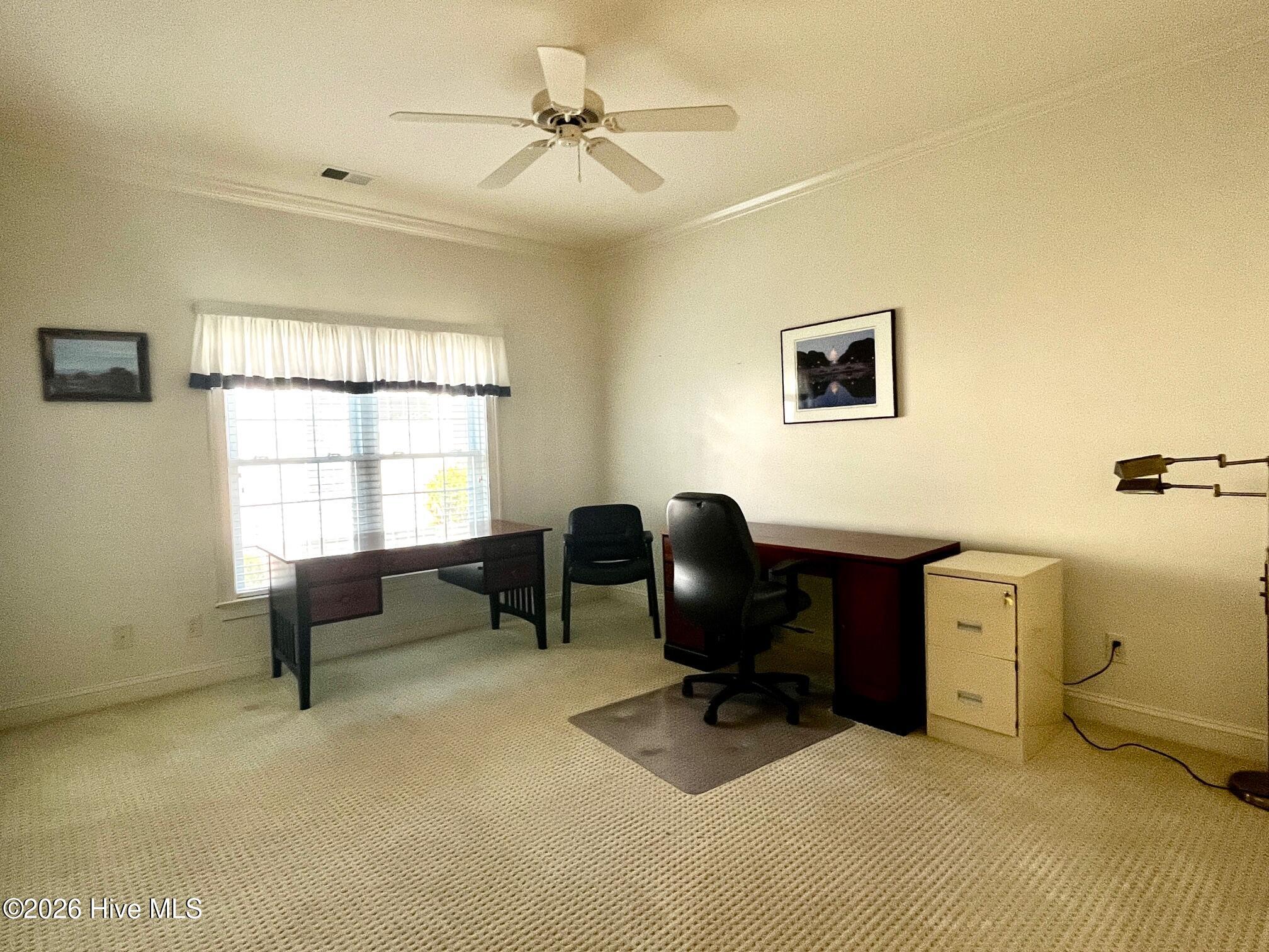 100566129 | Photo 34