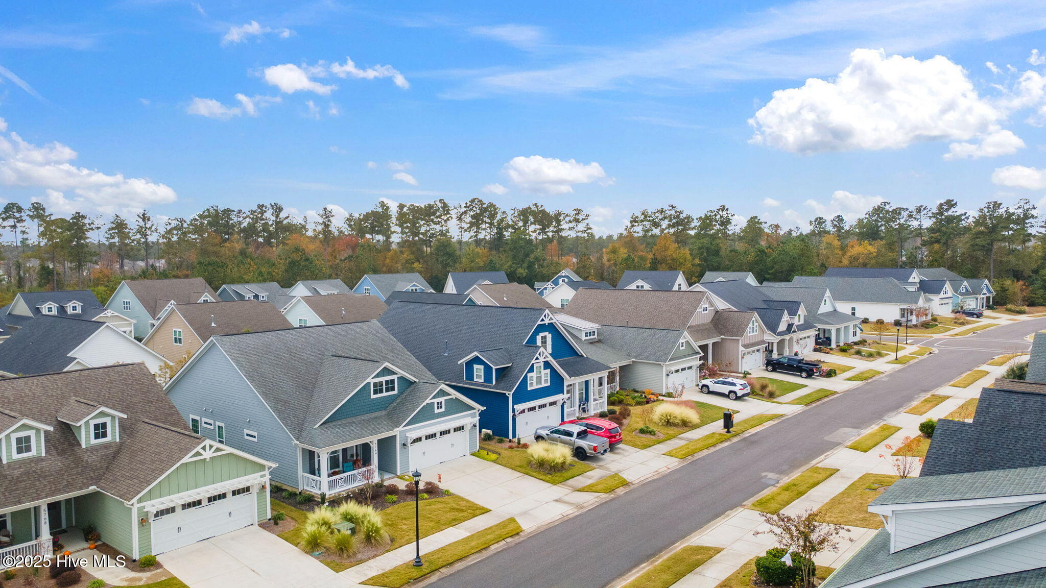 100541268 | Photo 46