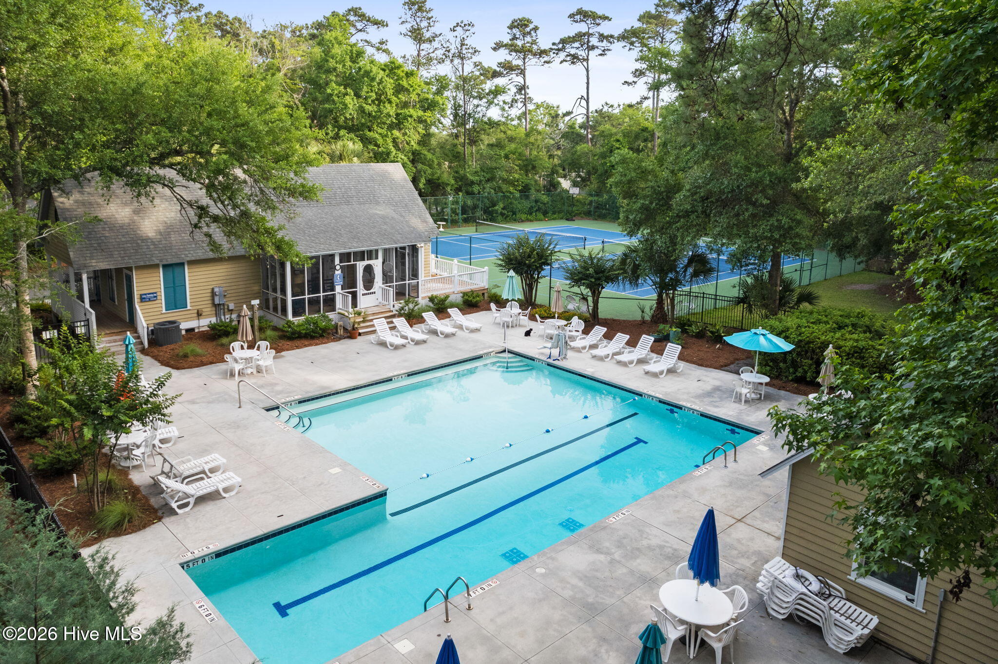 100564993 | Photo 56