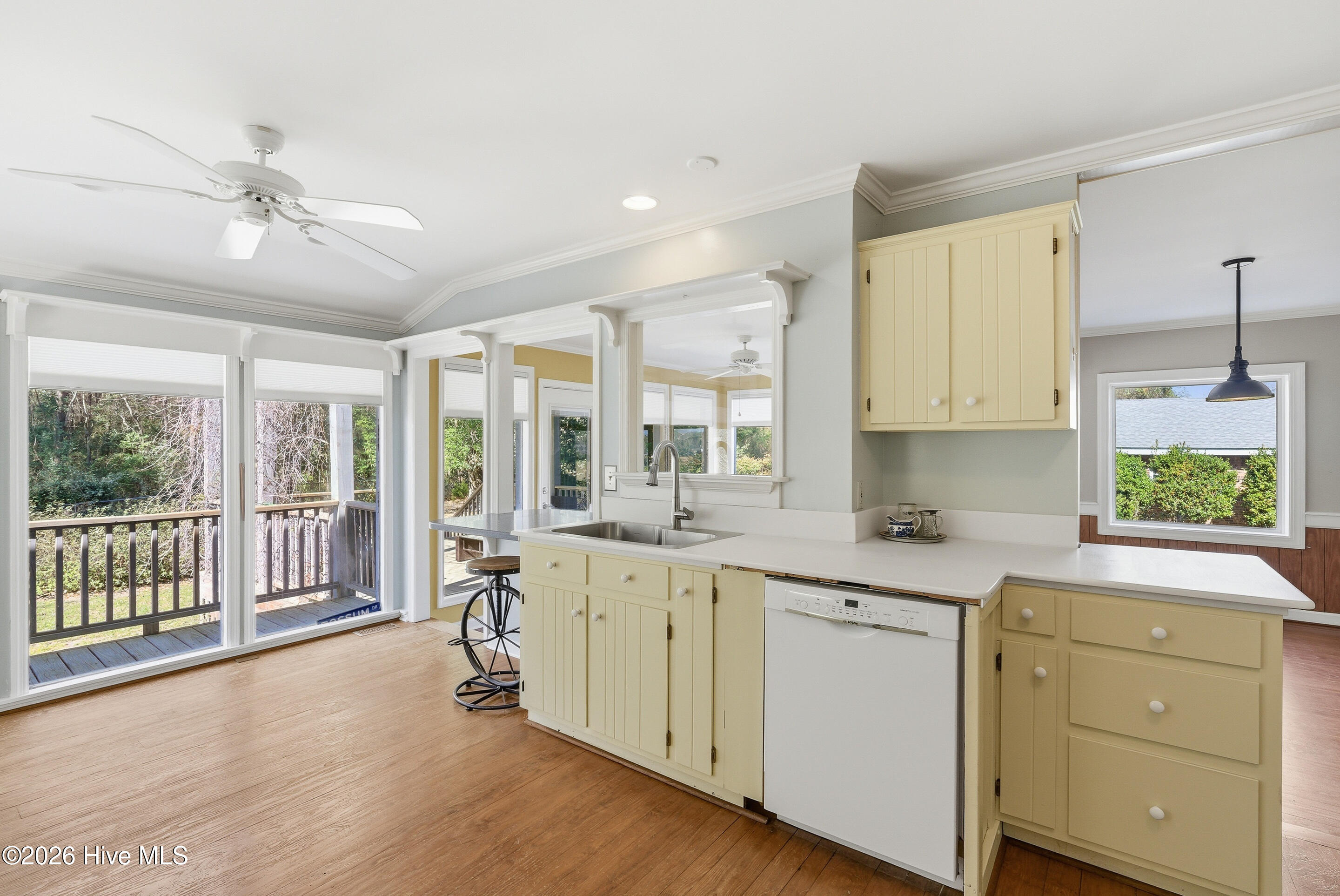 100563536 | Photo 10