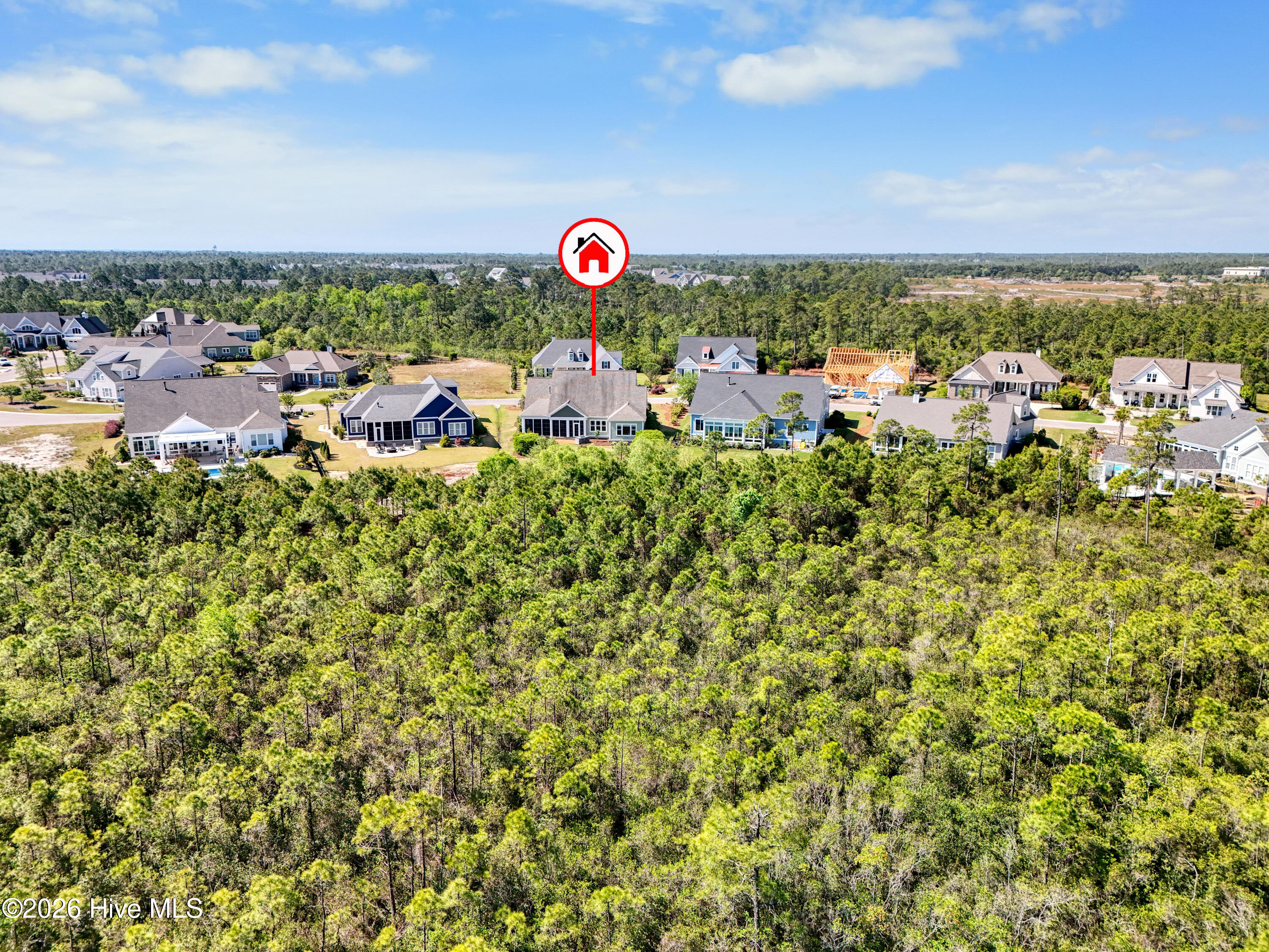 100569596 | Photo 61