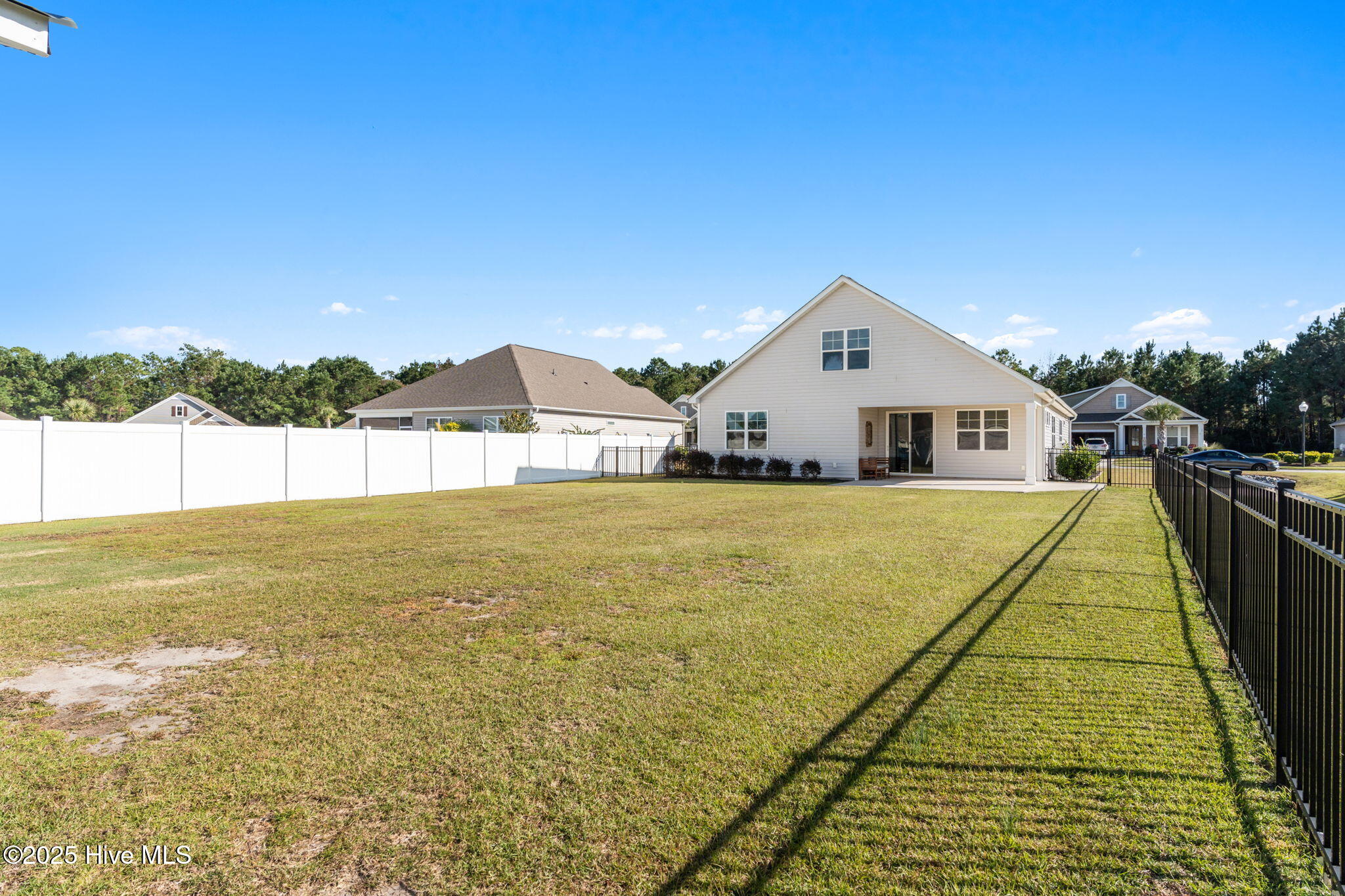 100538184 | Photo 48