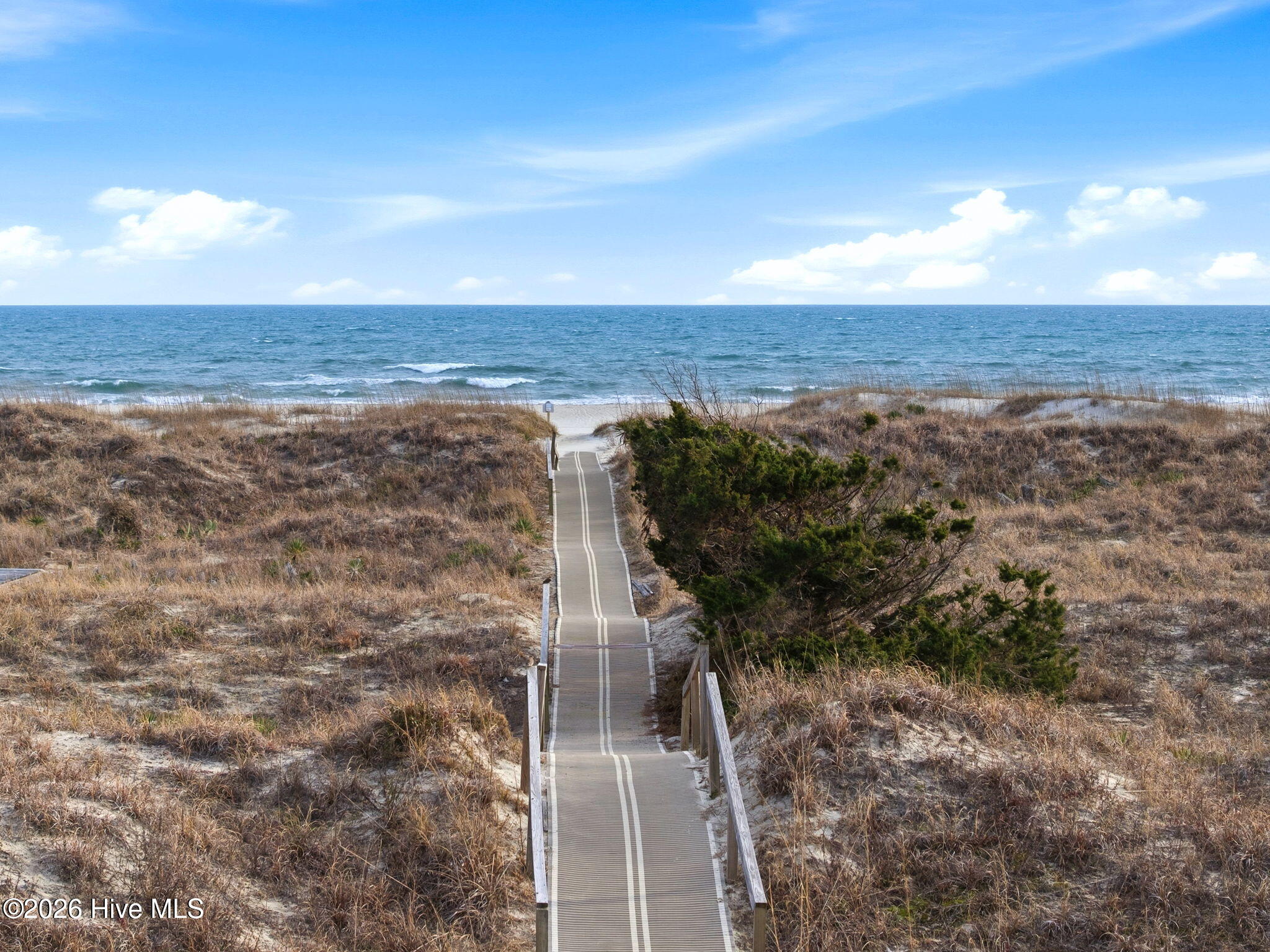 100555557 | Photo 10